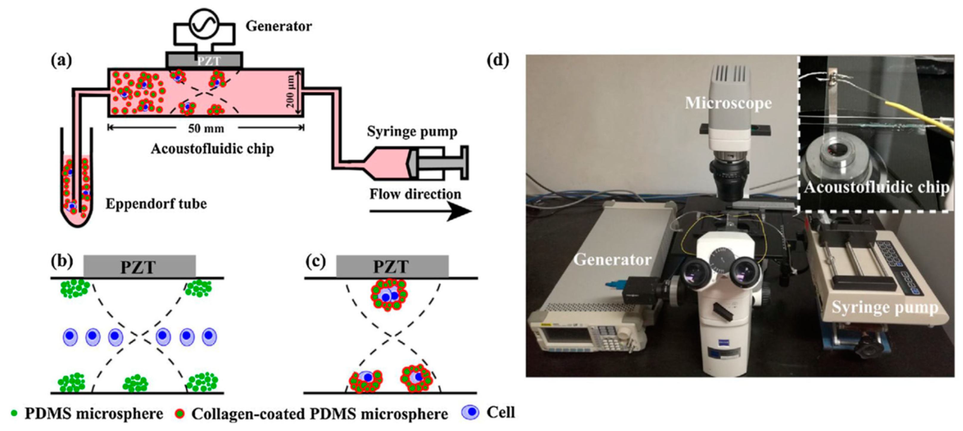 Processes 08 01253 g025 Processes 08 01253 g025