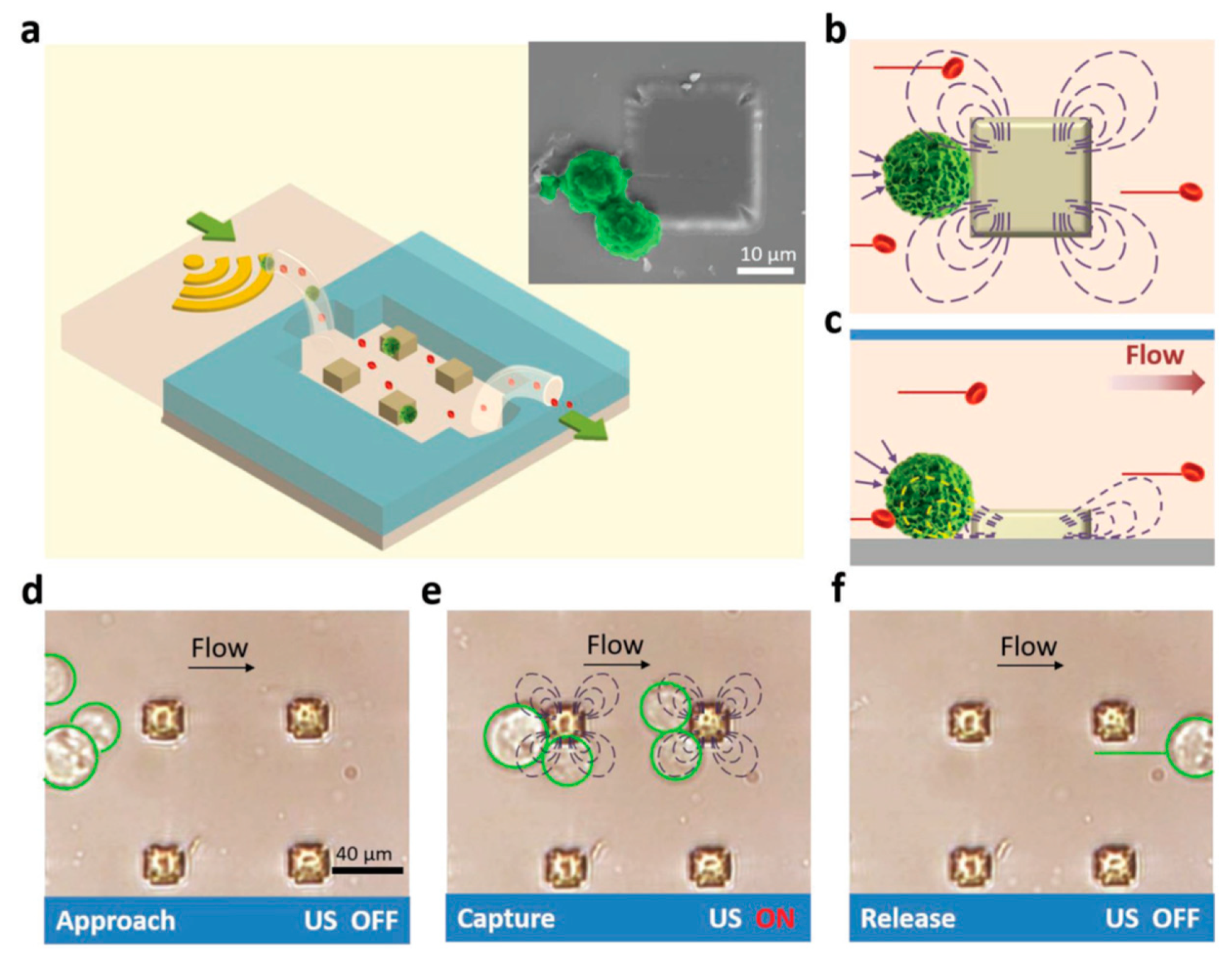 Processes 08 01253 g029 Processes 08 01253 g029