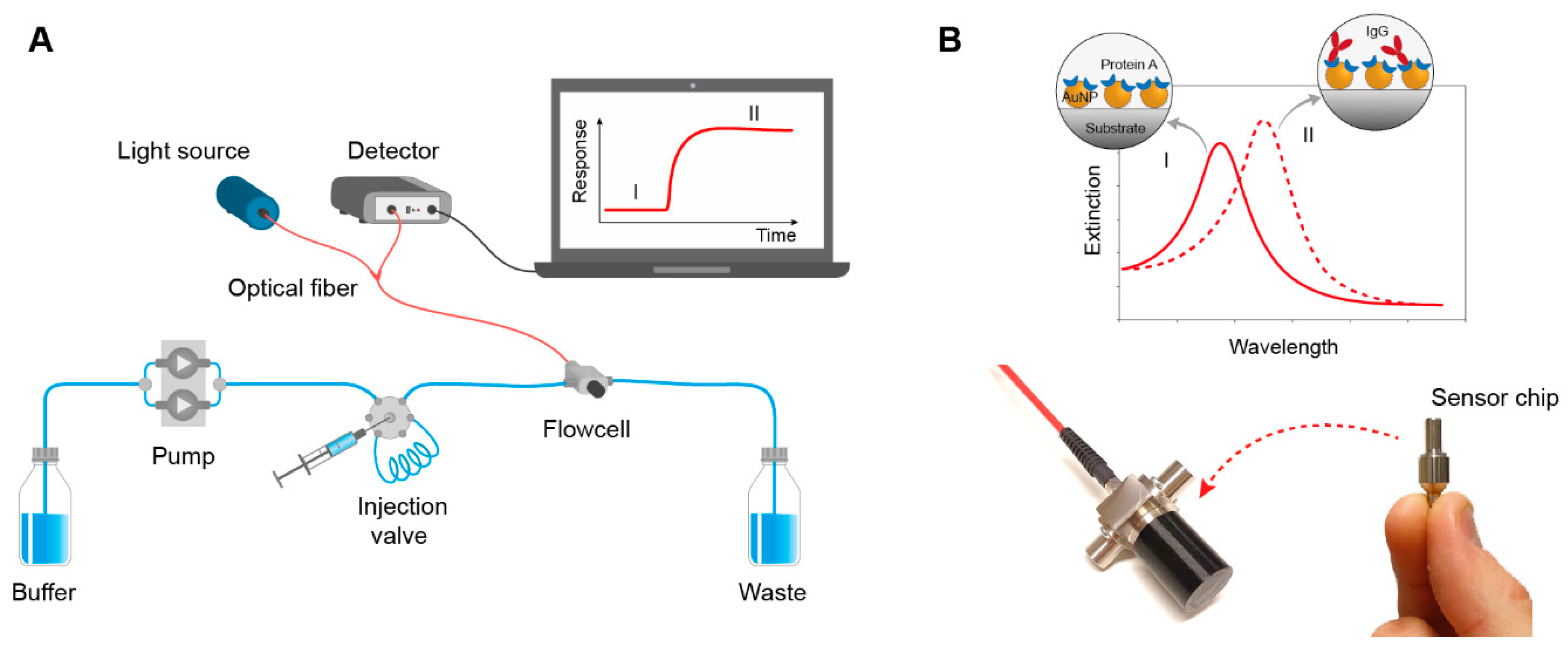 Processes | Free Full-Text | Real-Time Nanoplasmonic Sensor for IgG  Monitoring in Bioproduction