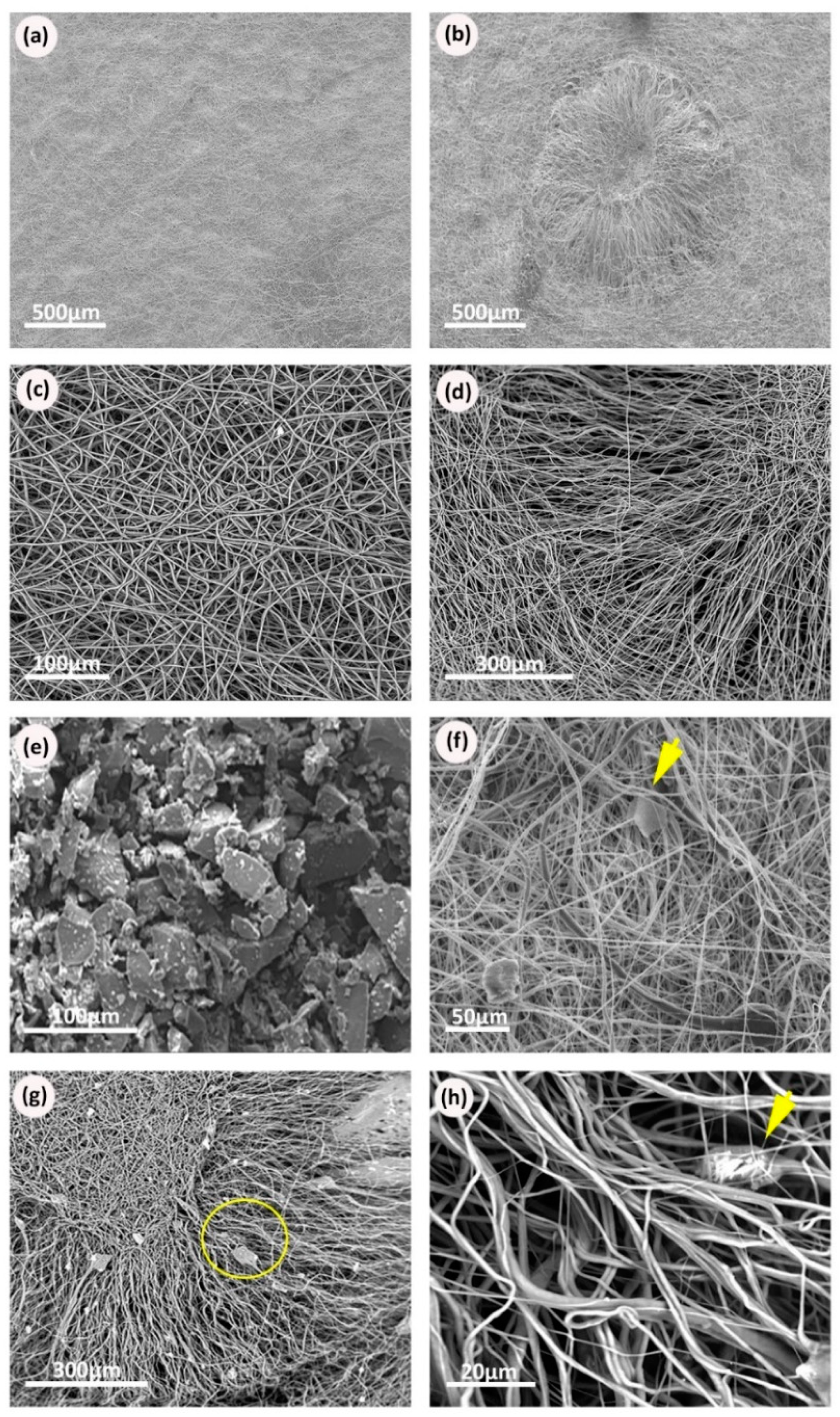 Processes 08 01341 g003