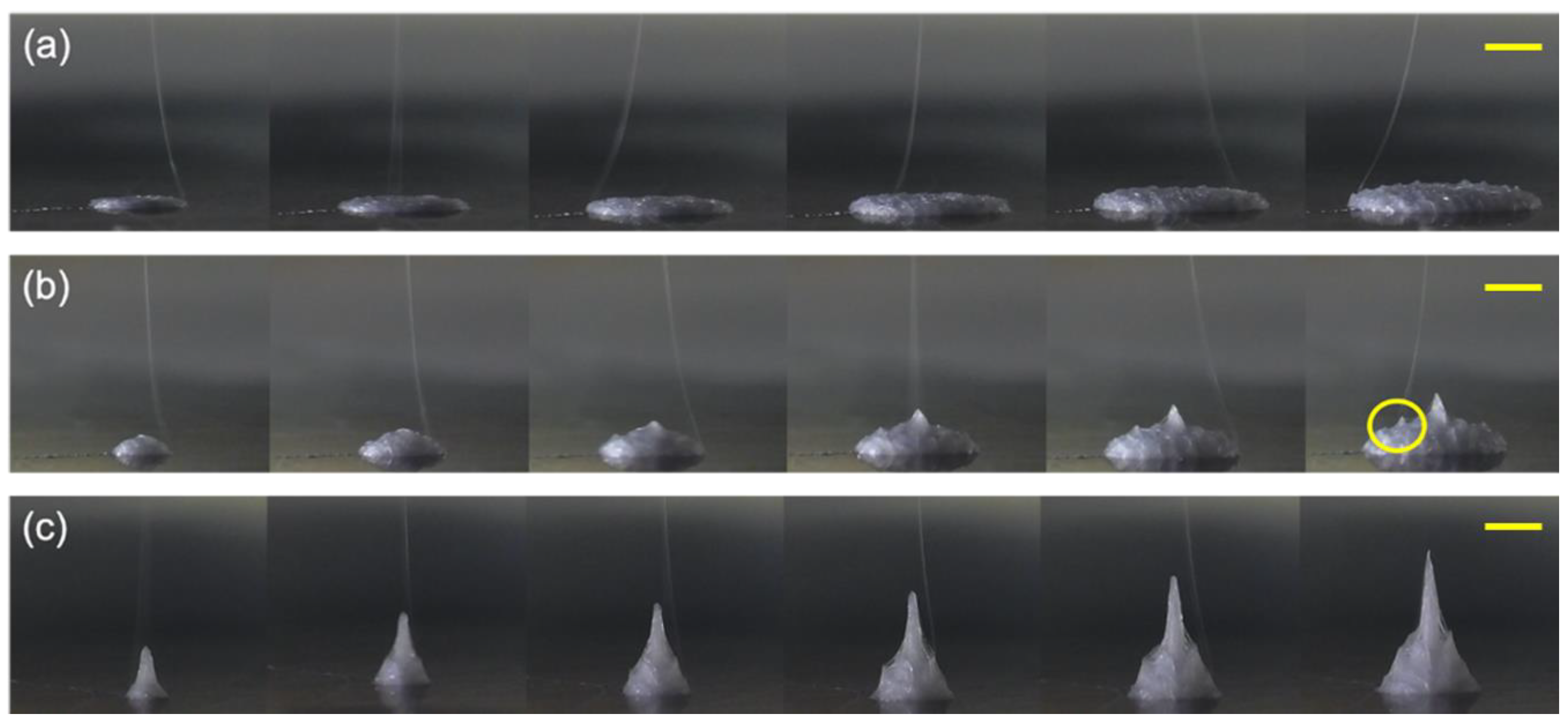 Processes 08 01440 g002