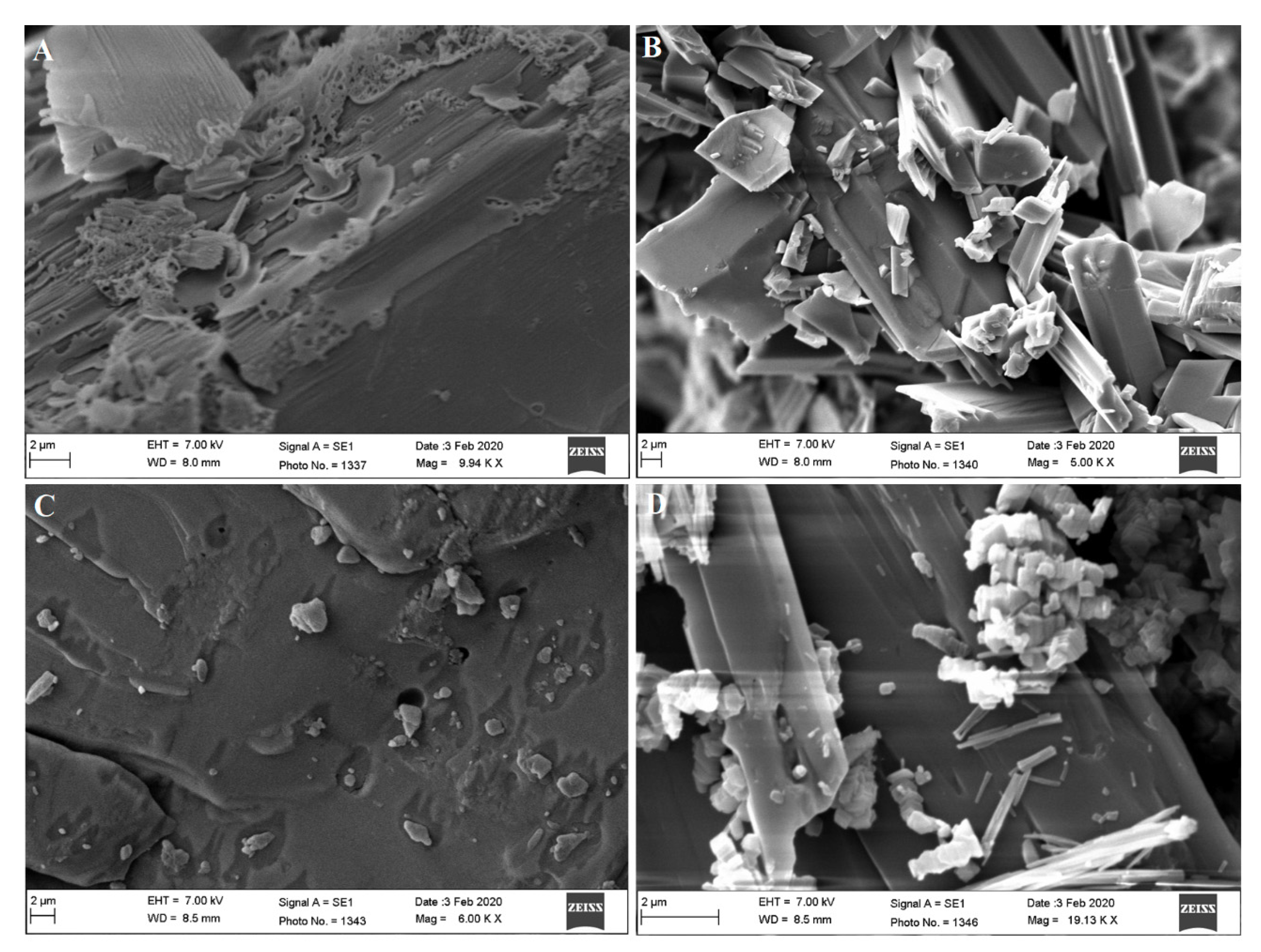 Processes 08 01476 g008