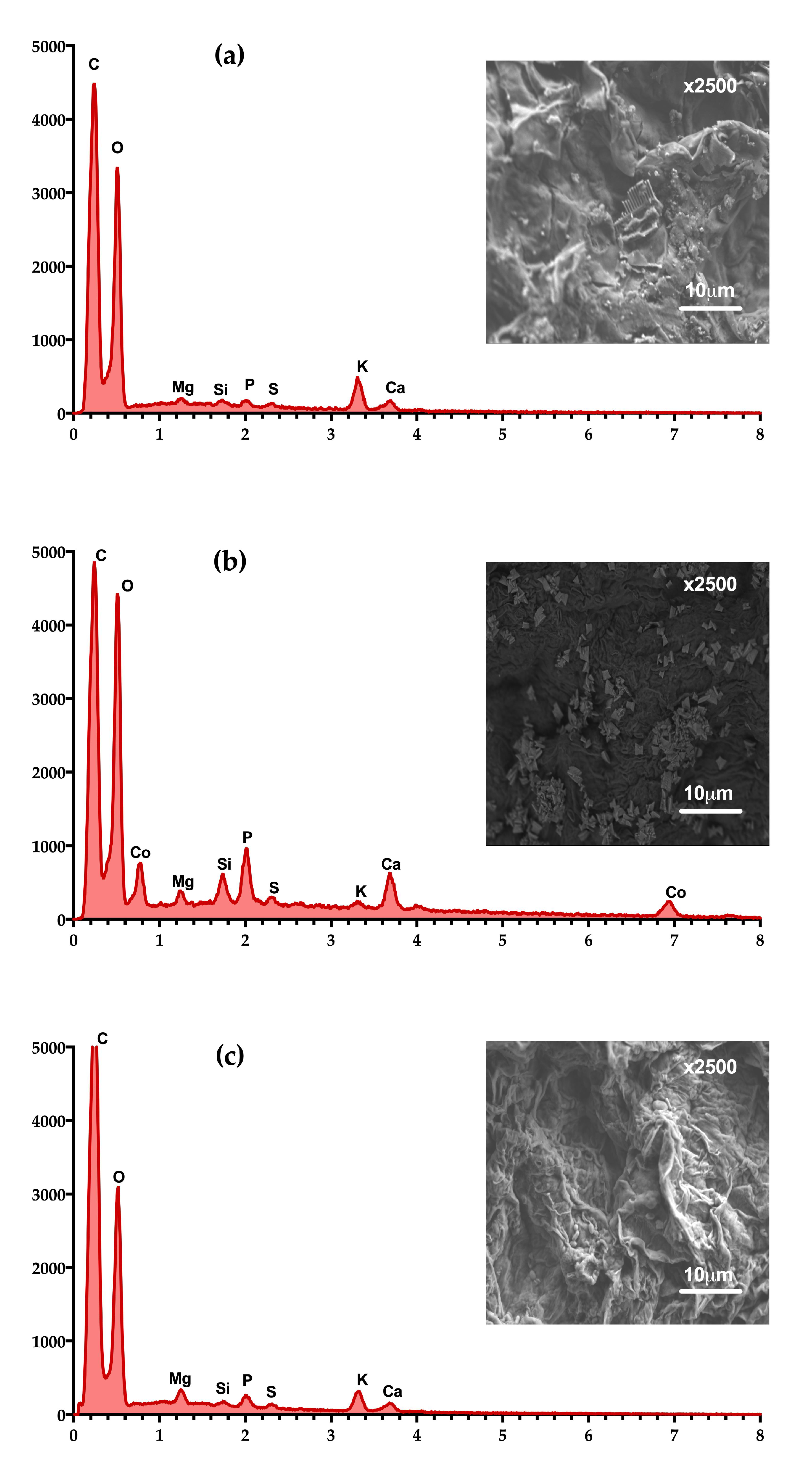 Processes 08 01532 g006 Processes 08 01532 g006