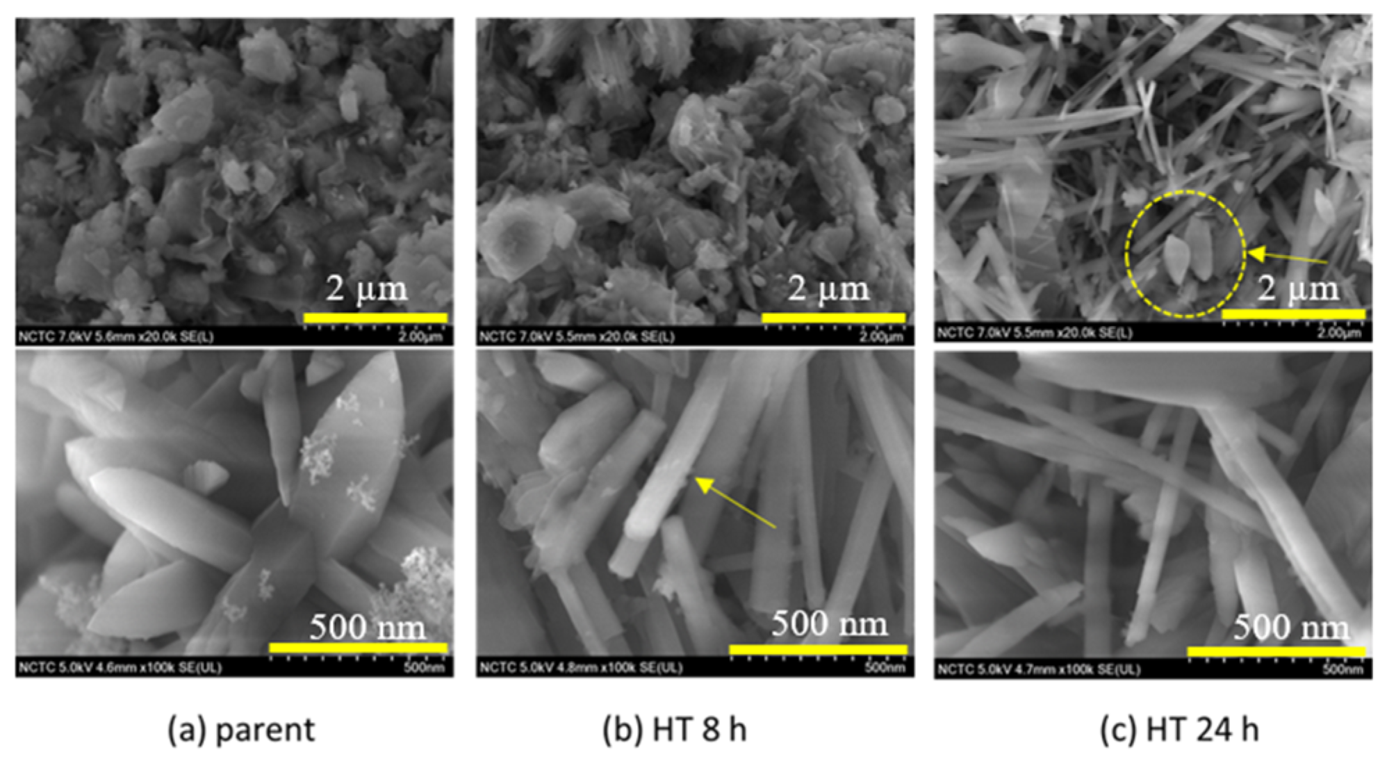 Processes 08 01569 g004 Processes 08 01569 g004