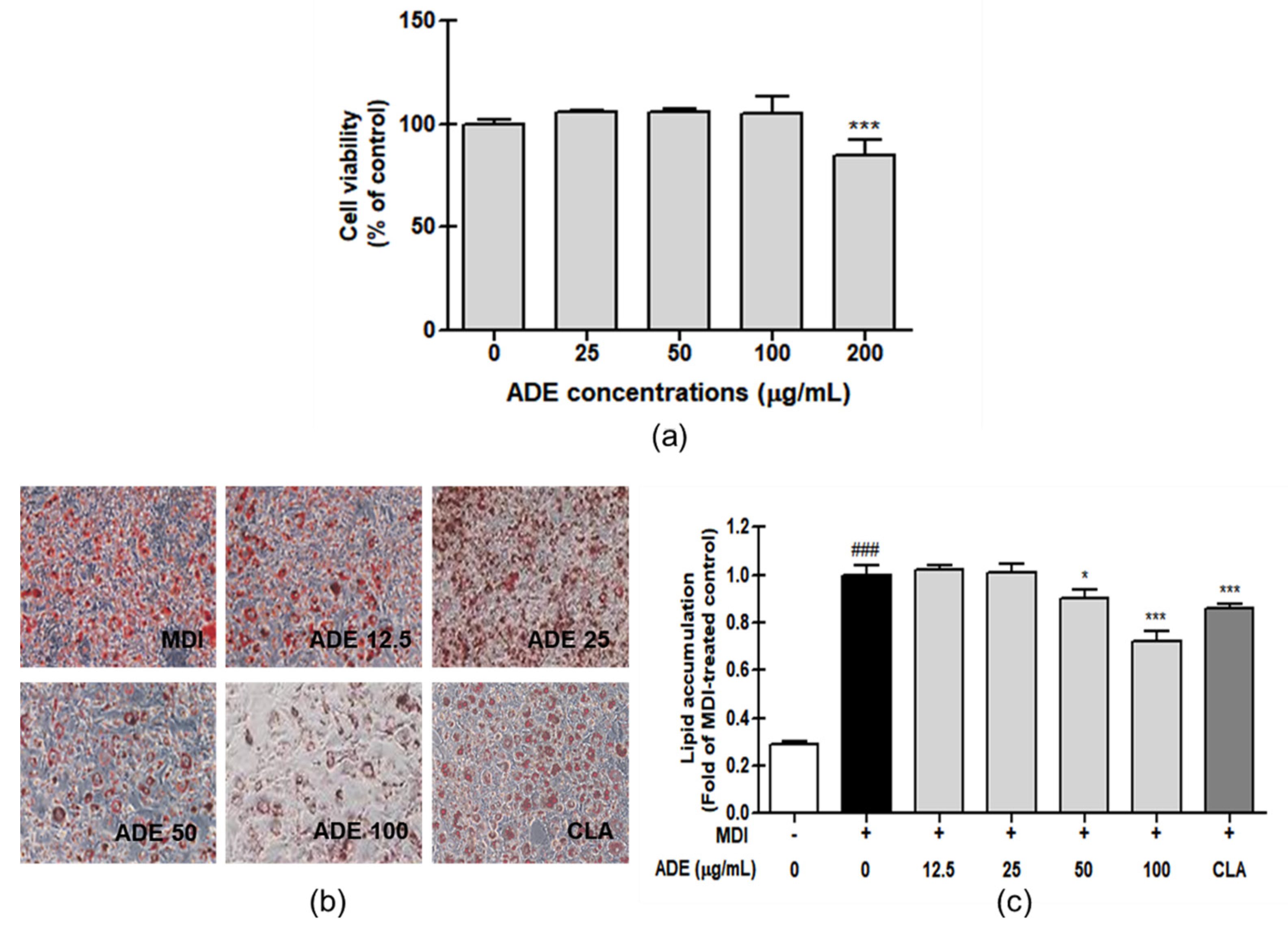 Processes 08 01576 g001