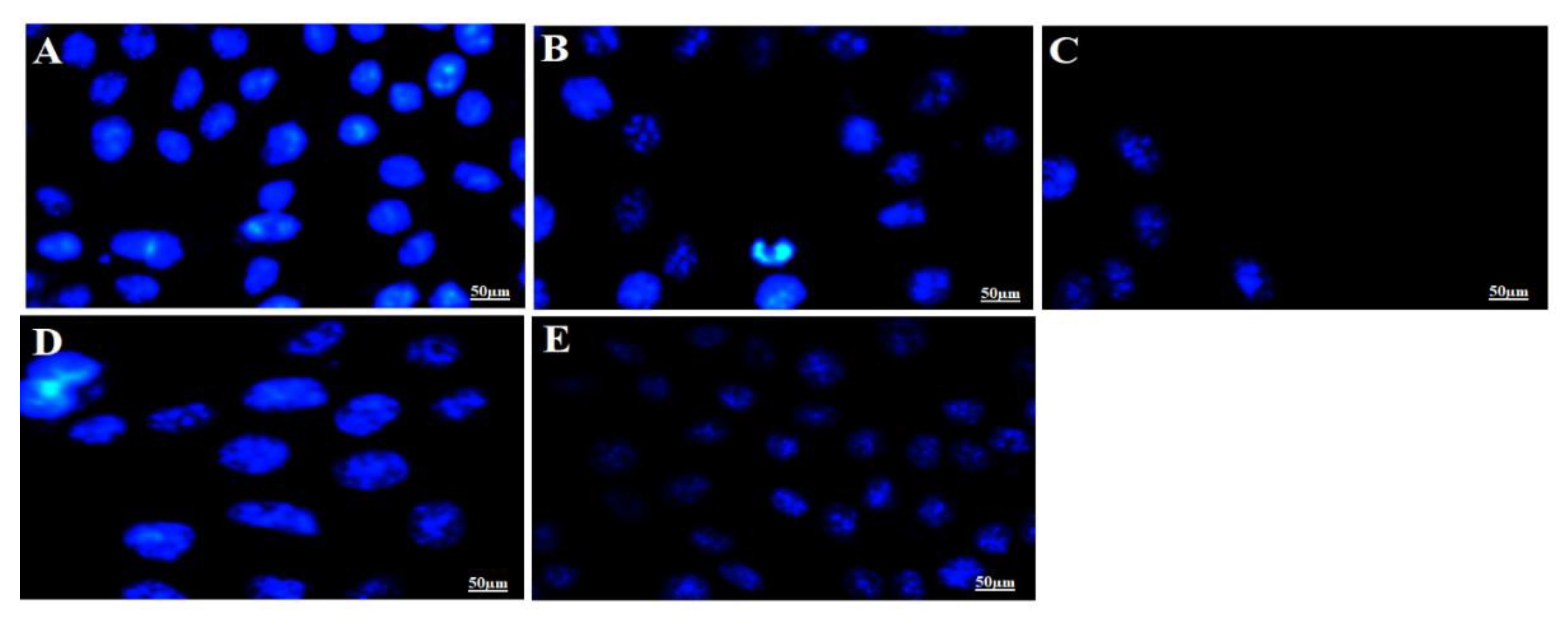 Processes 08 01579 g007