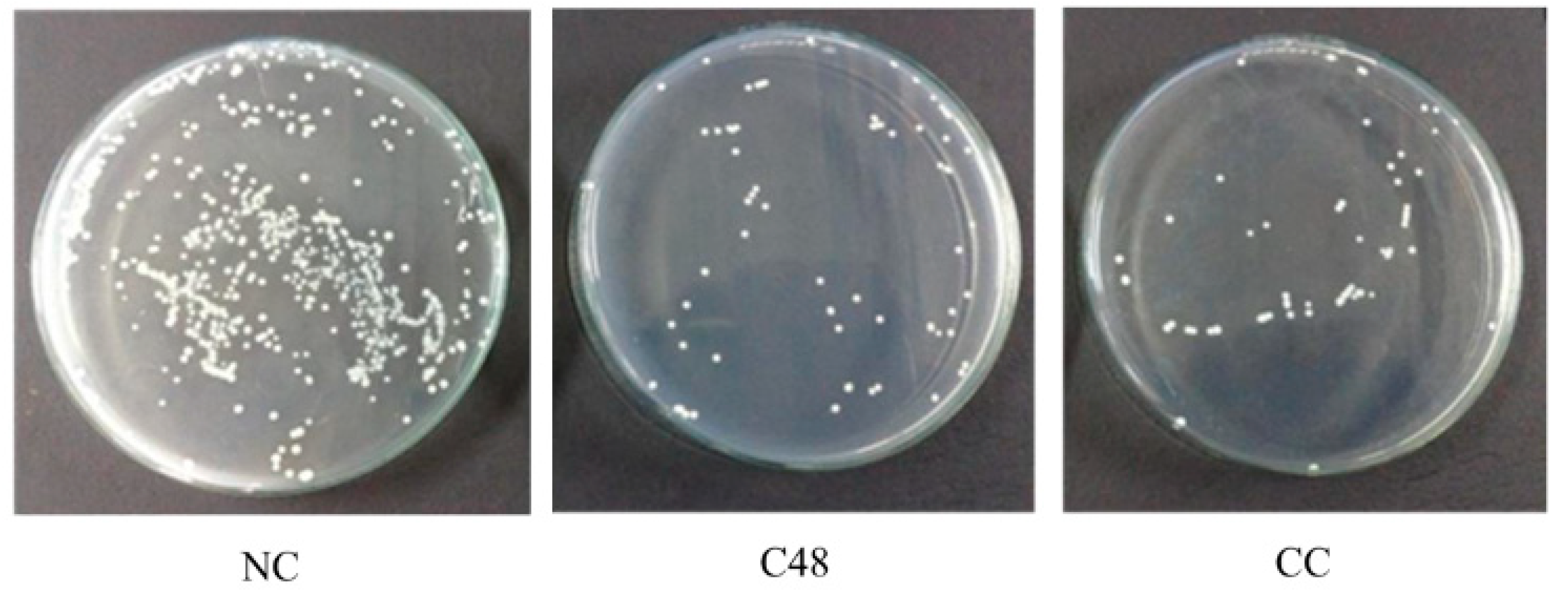 Processes 08 01630 g008 Processes 08 01630 g008
