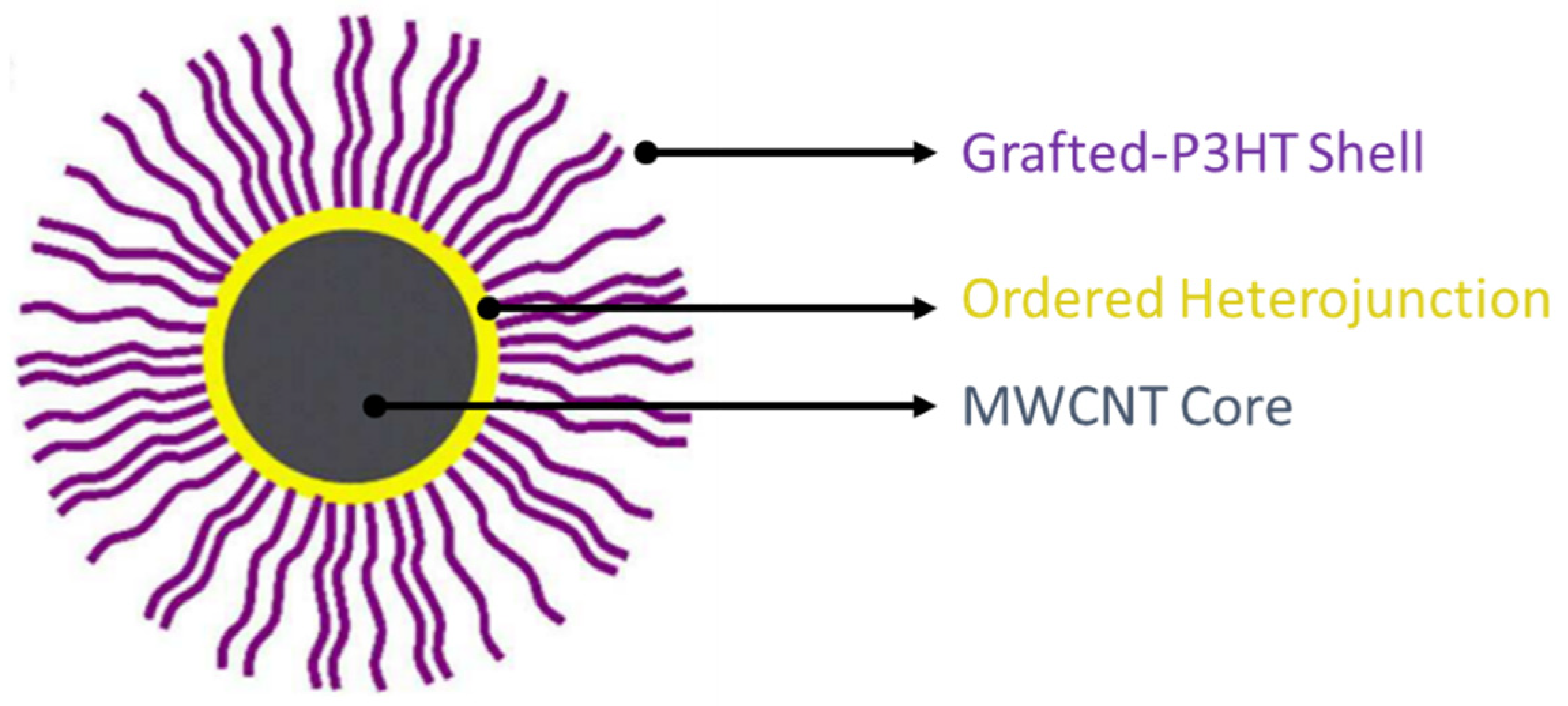 Processes Free Full Text Ultrasonically Induced Polymerization And Polymer Grafting In The Presence Of Carbonaceous Nanoparticles Html