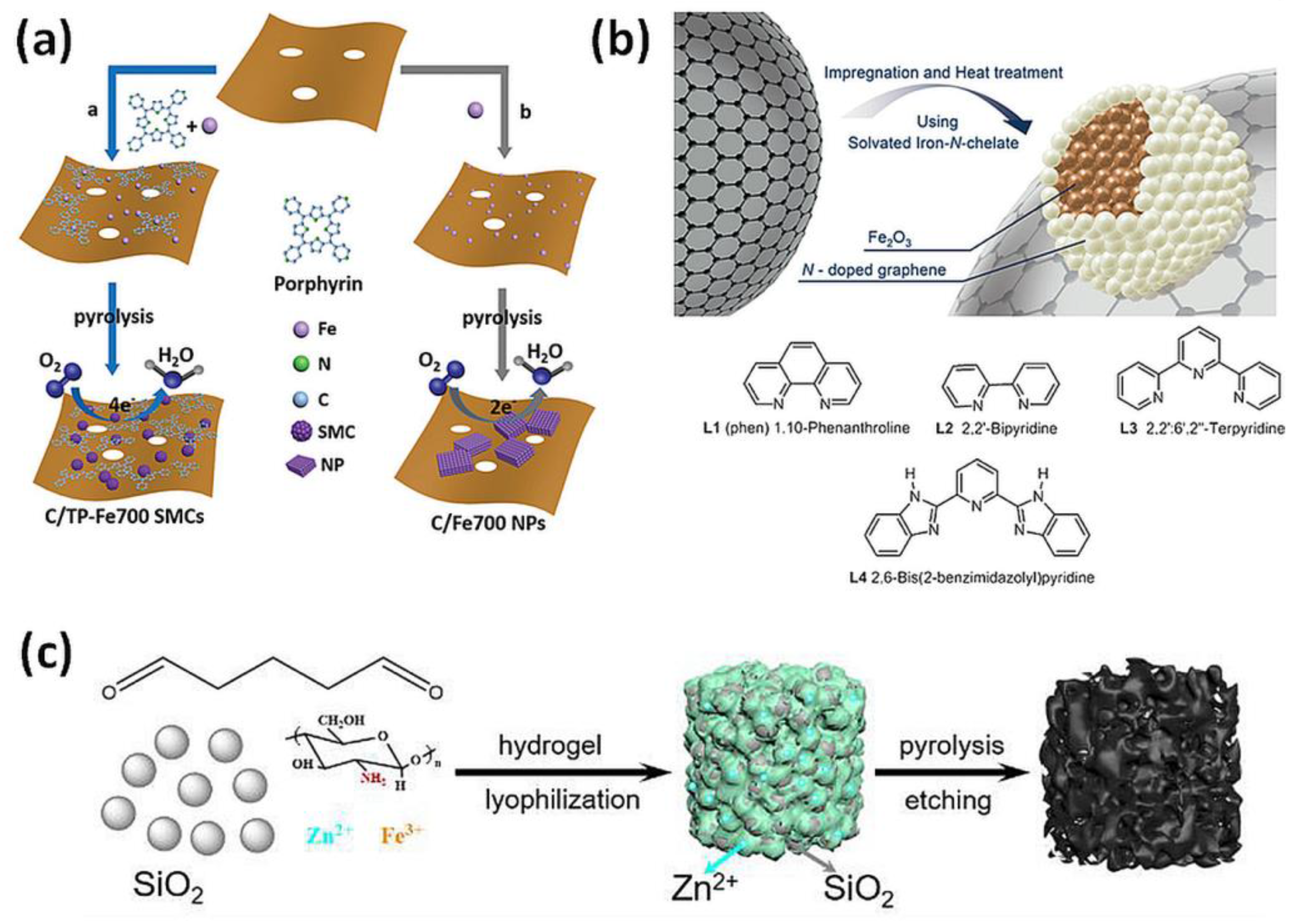 Processes Free Full Text Iron Based Catalytically Active Complexes In Preparation Of Functional Materials Html