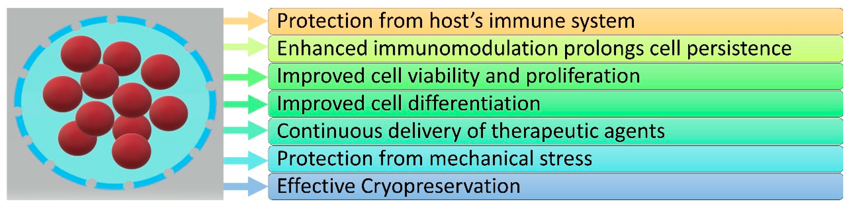 Processes 09 00011 g003