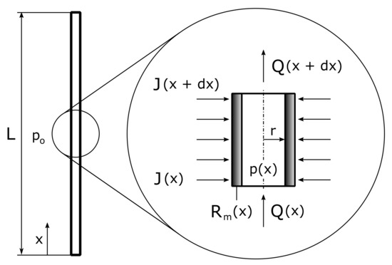 Processes Free Full Text Optimizing The Axial Resistance Profile Of Submerged Hollow Fiber Membranes Html