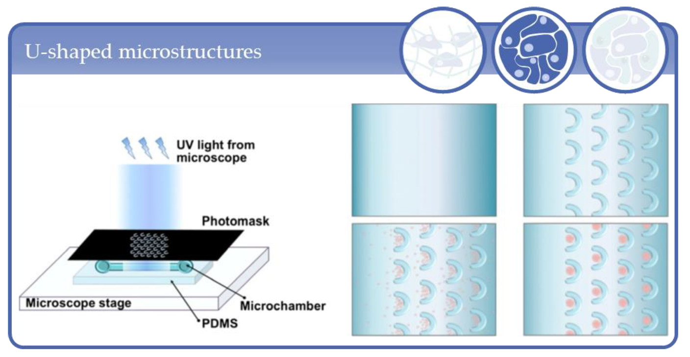 Processes 09 00021 g014 Processes 09 00021 g014