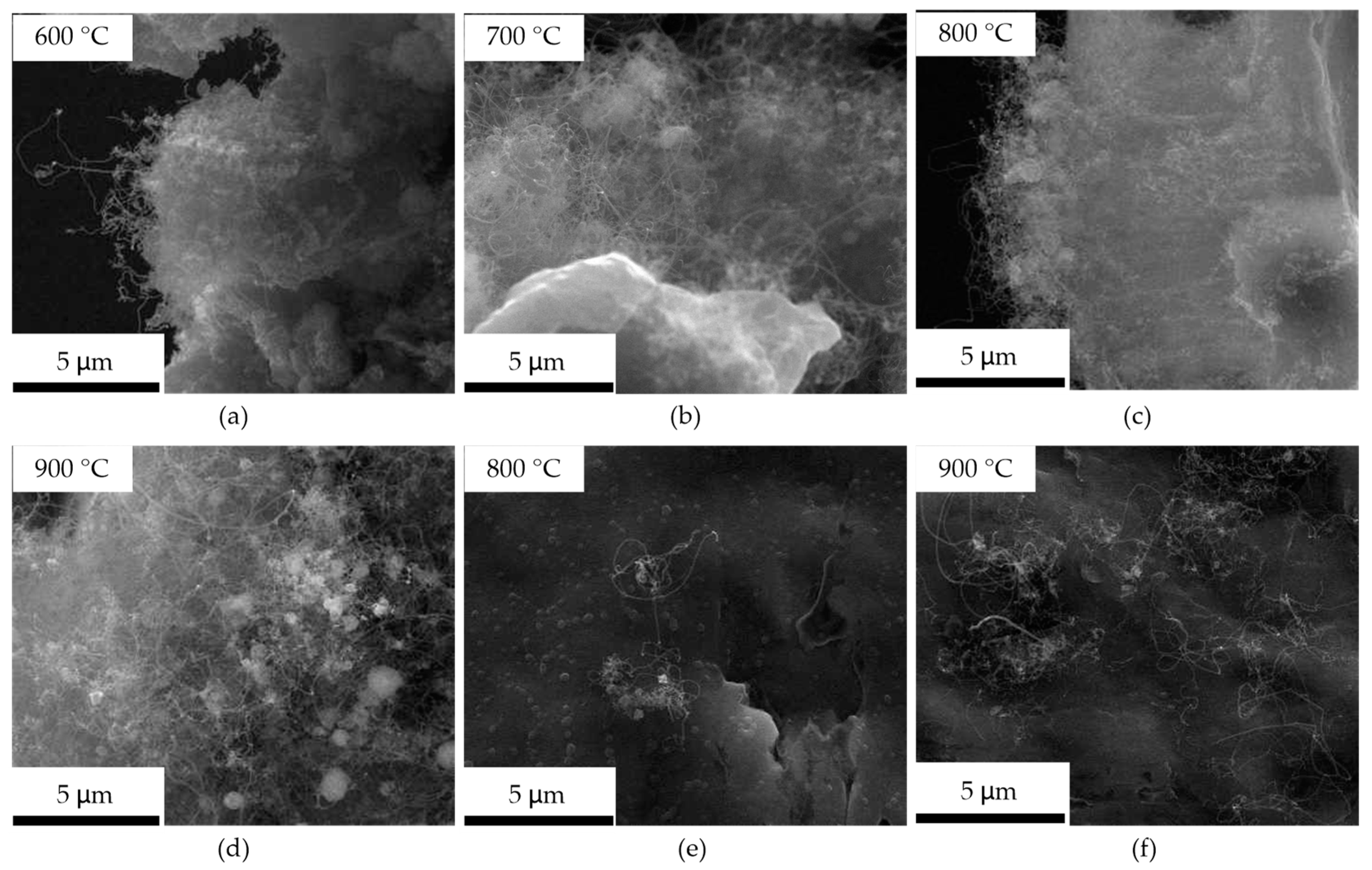 Processes 09 00036 g003
