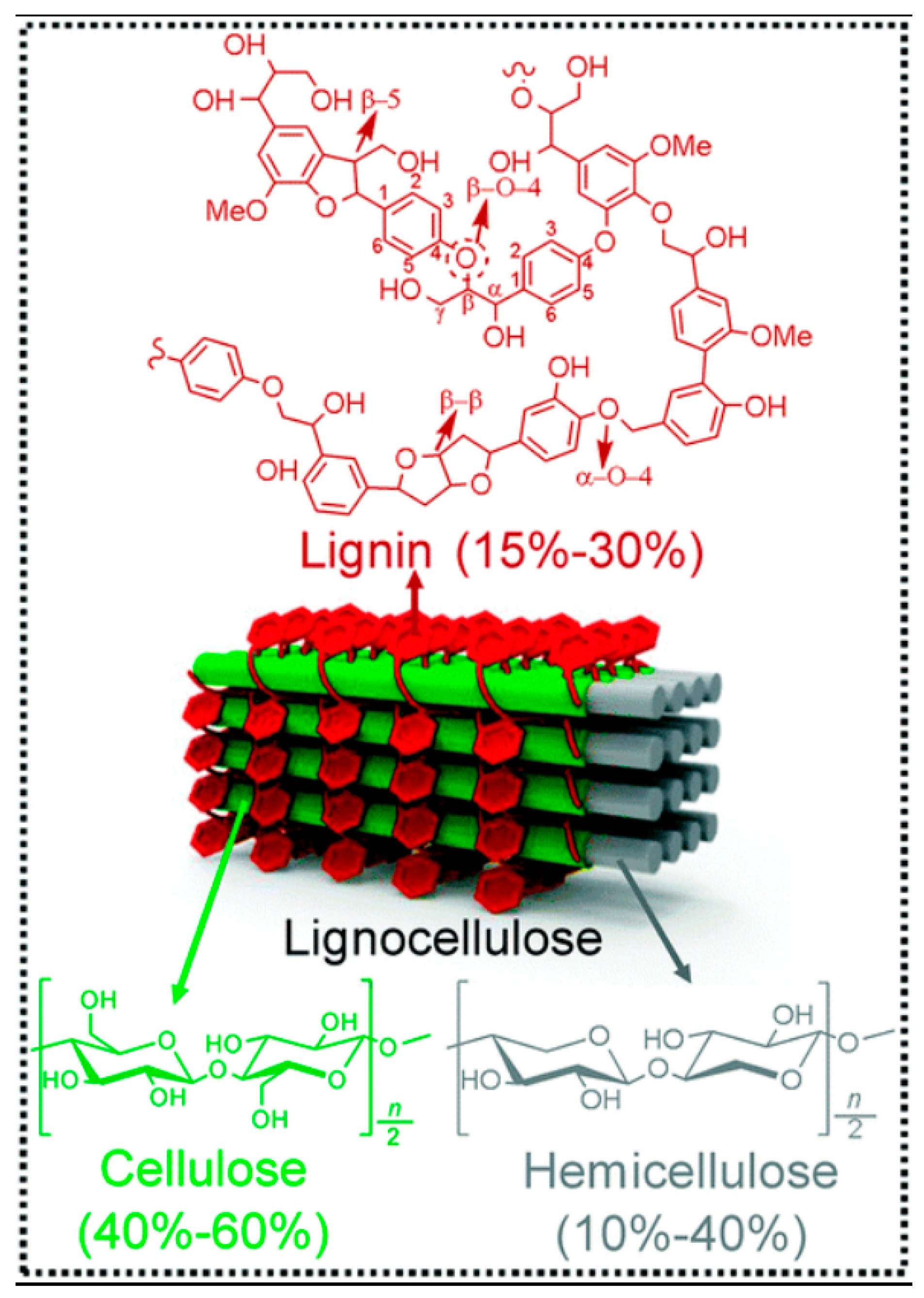 Processes 09 00038 g001