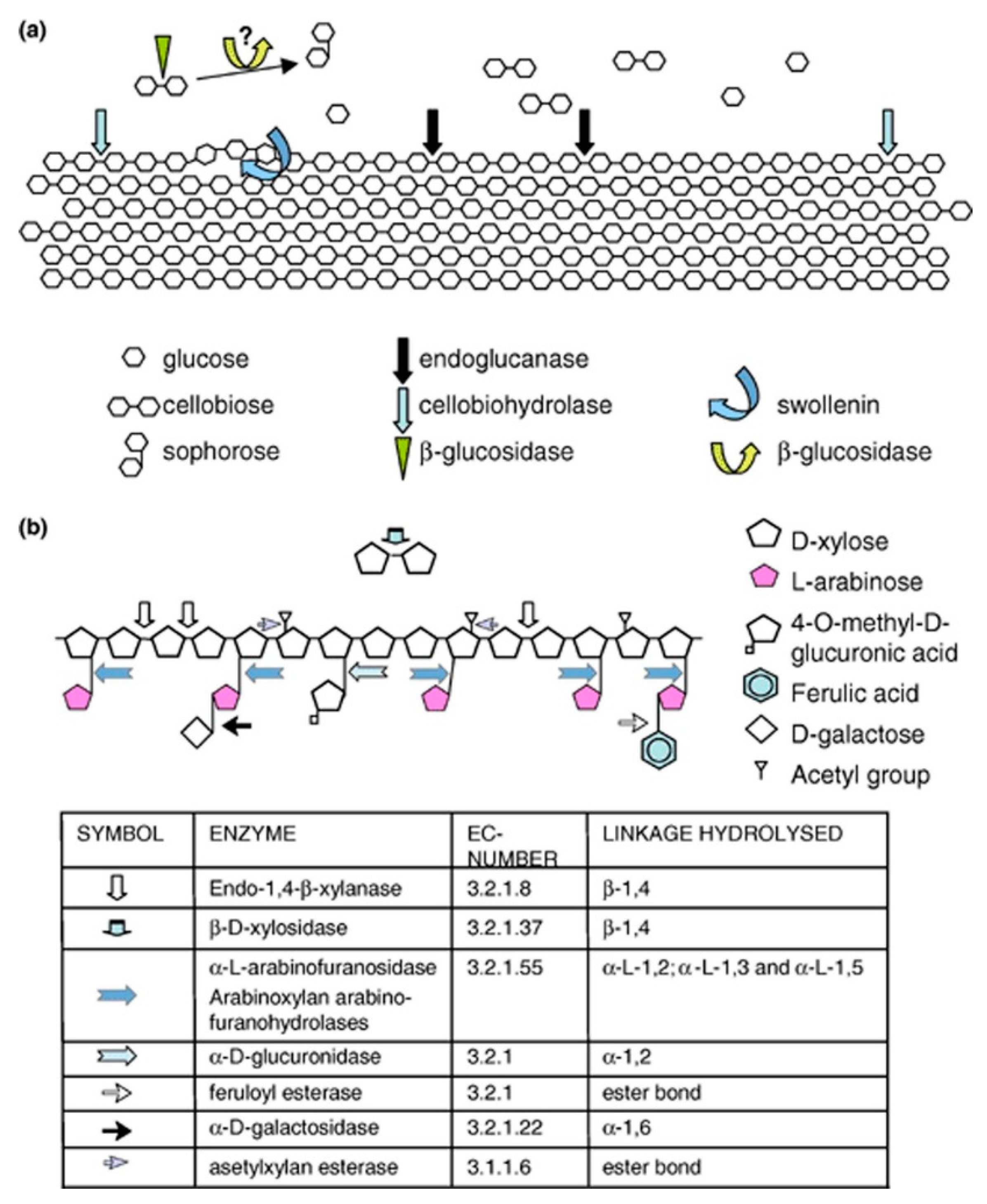 Processes 09 00038 g002