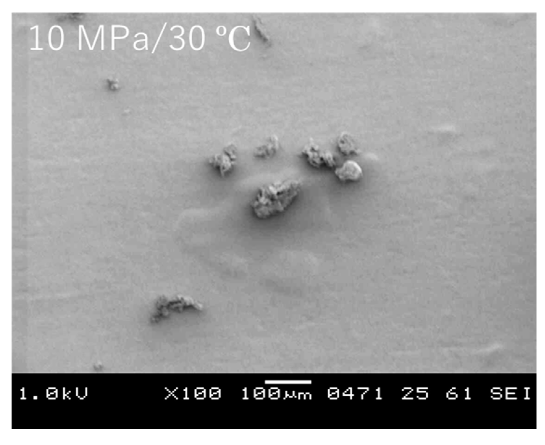 Processes 09 00073 g004b