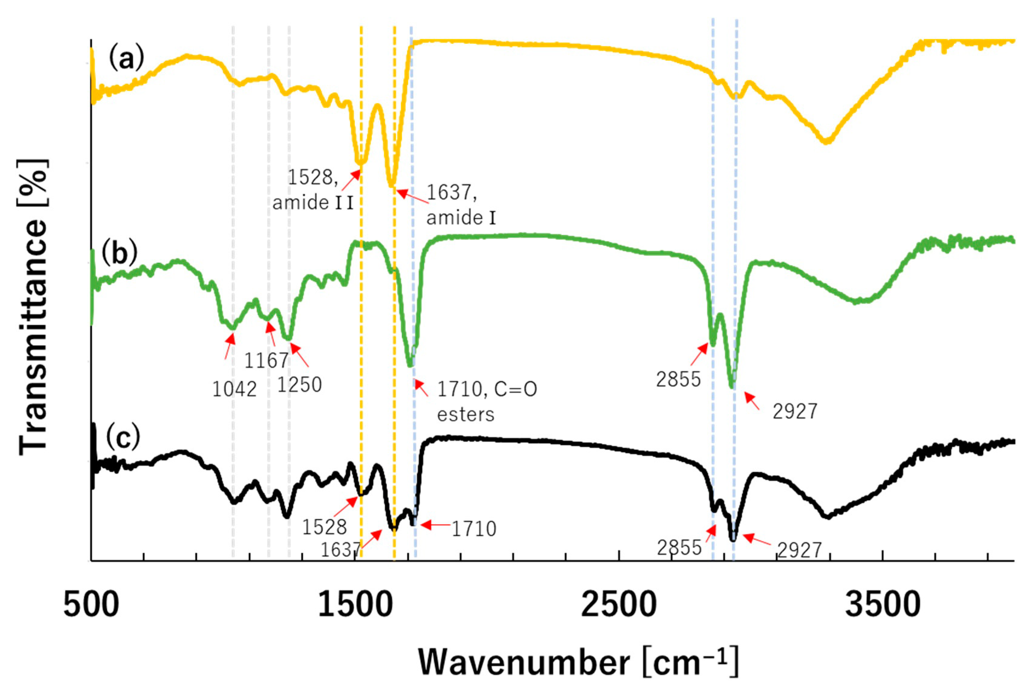 Processes 09 00073 g005