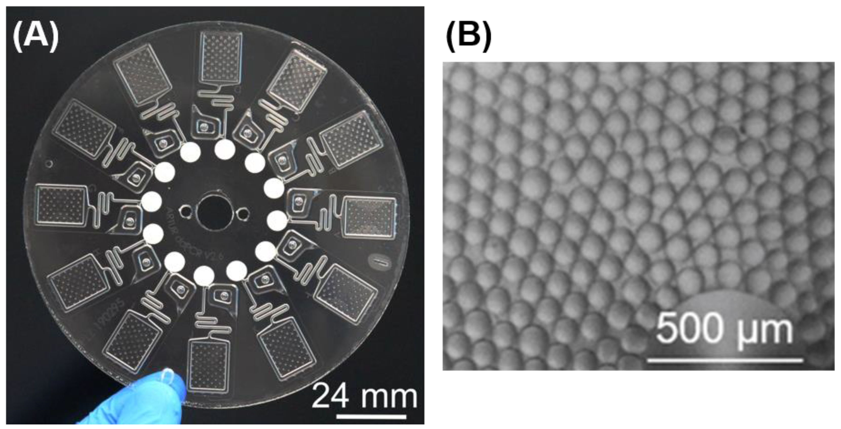 Processes 09 00097 g003 Processes 09 00097 g003
