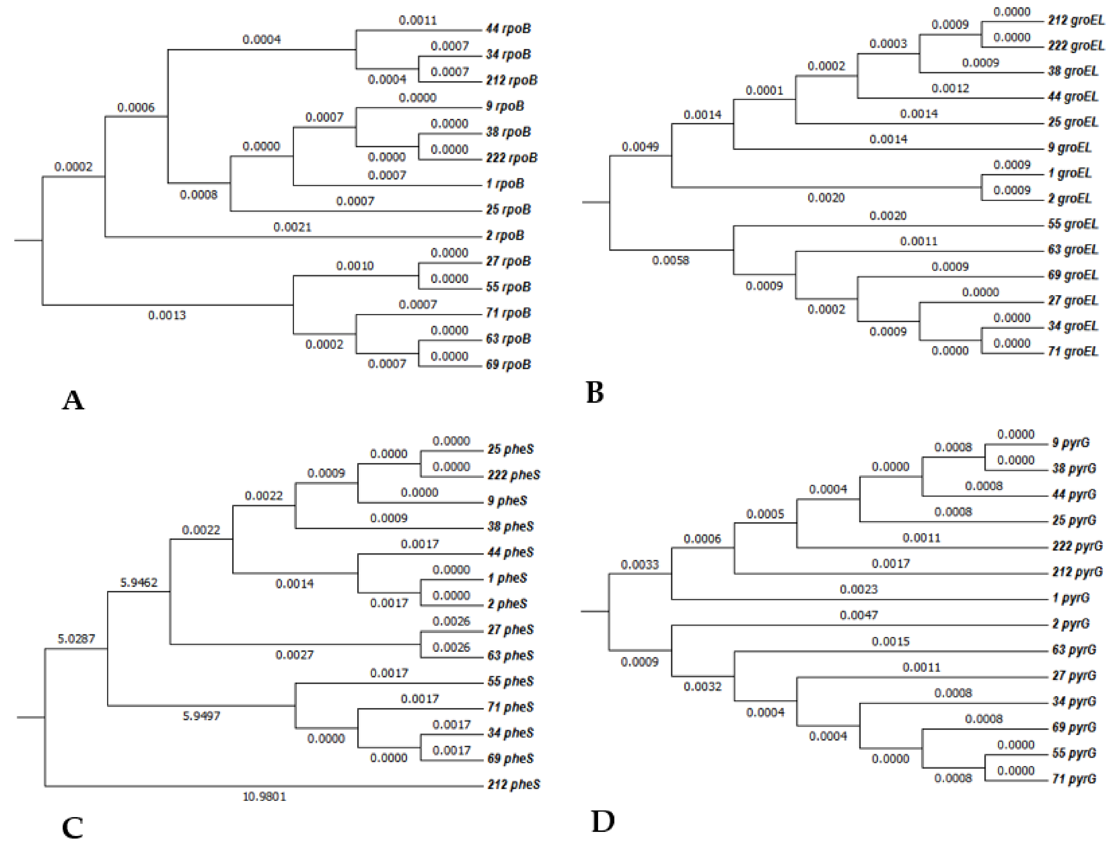 Processes 09 00114 g004