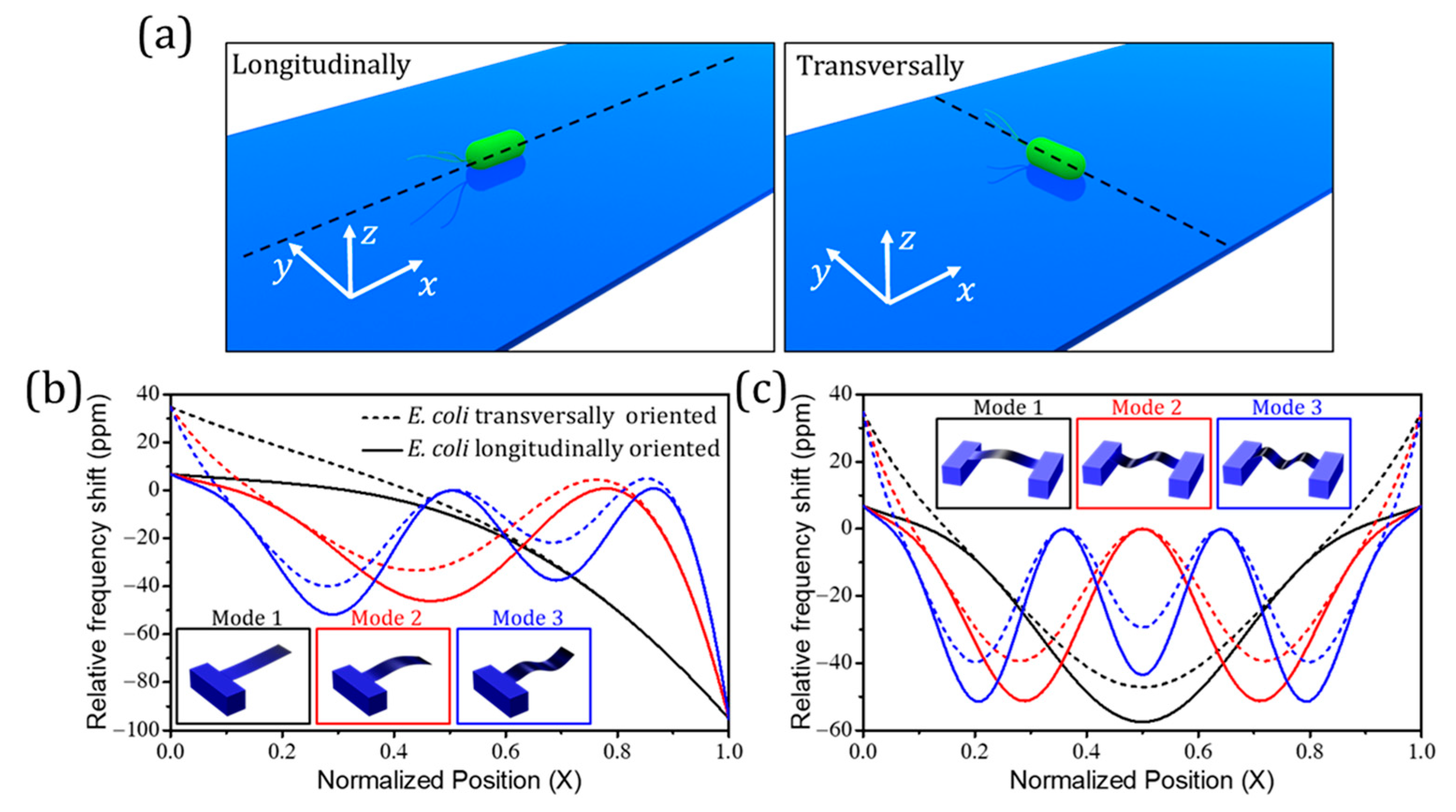 Processes 09 00164 g005 Processes 09 00164 g005