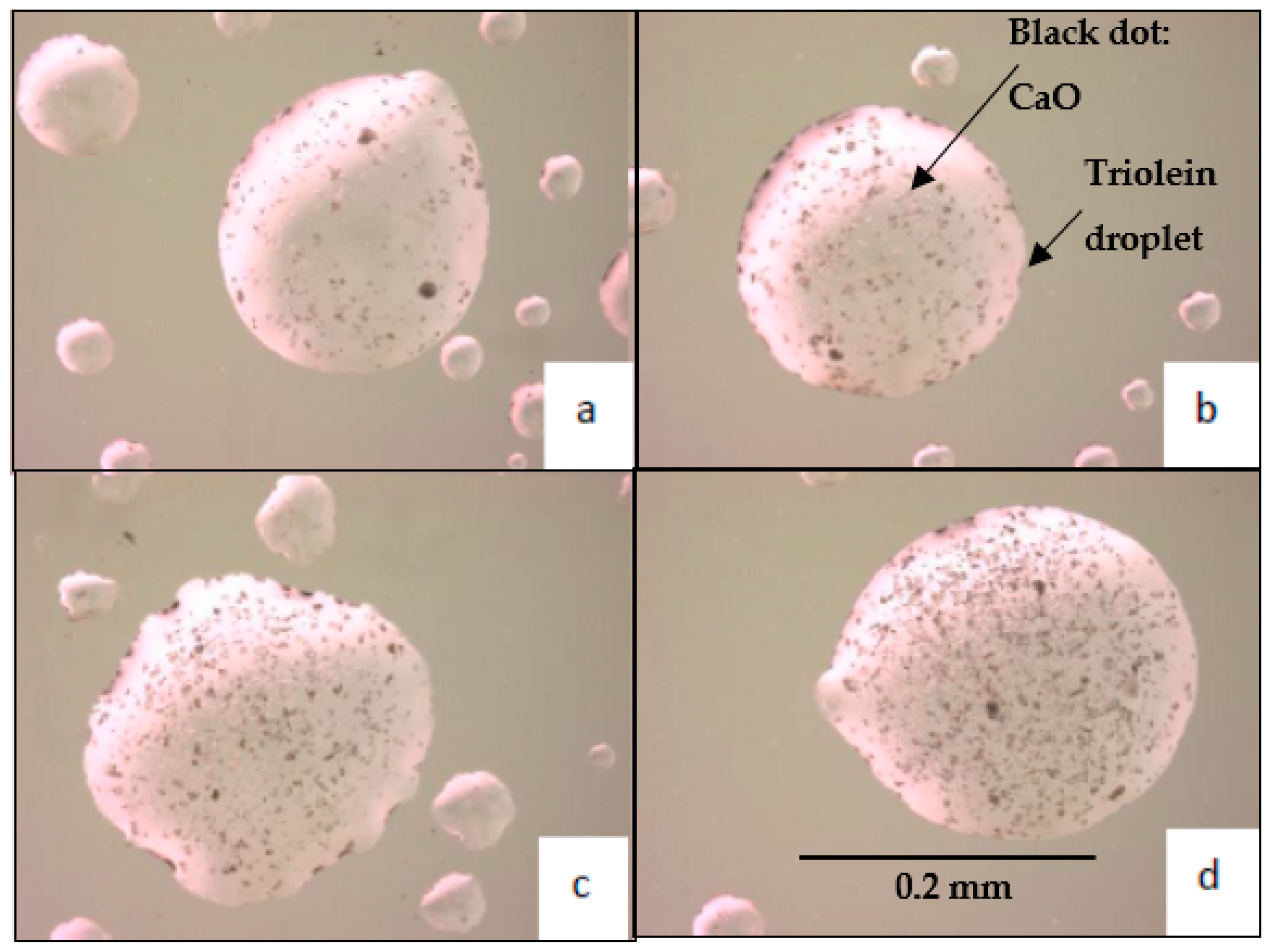 Processes 09 00181 g004