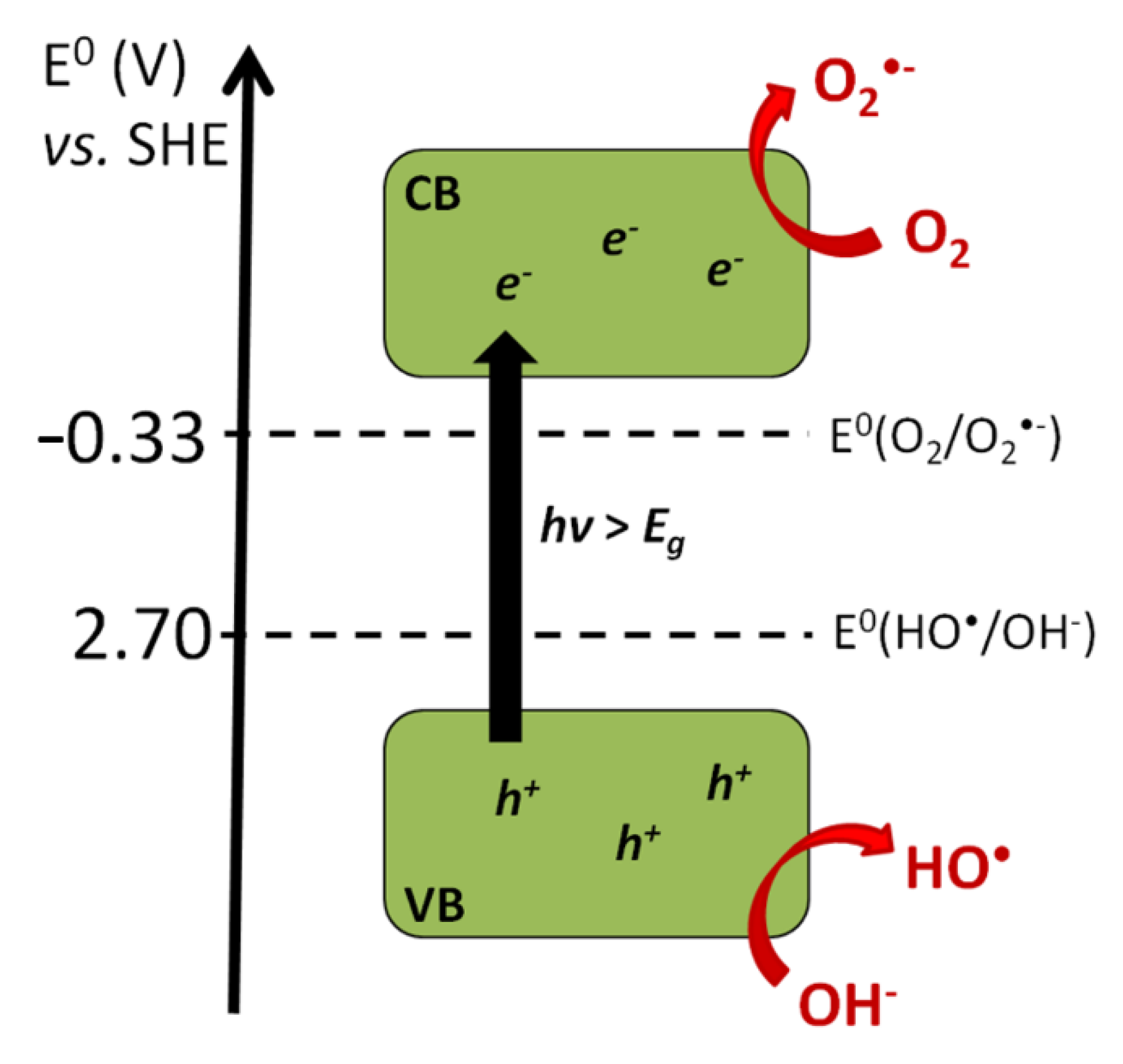 How Is Substrate Halogenation Triggered by the Vanadium