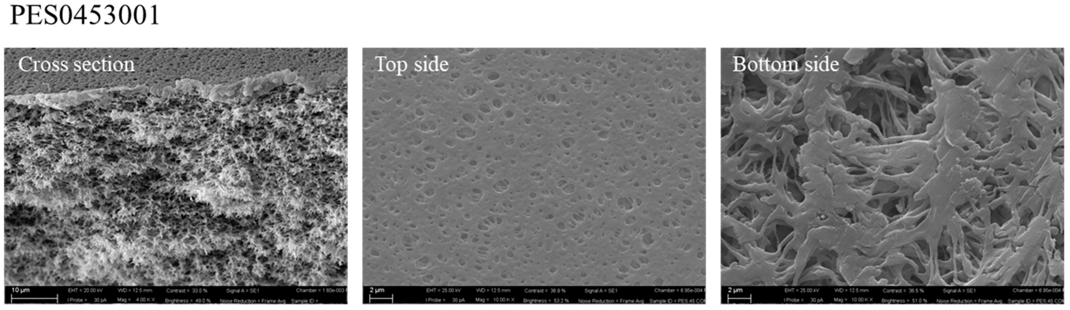 Processes 09 00246 g006 Processes 09 00246 g006