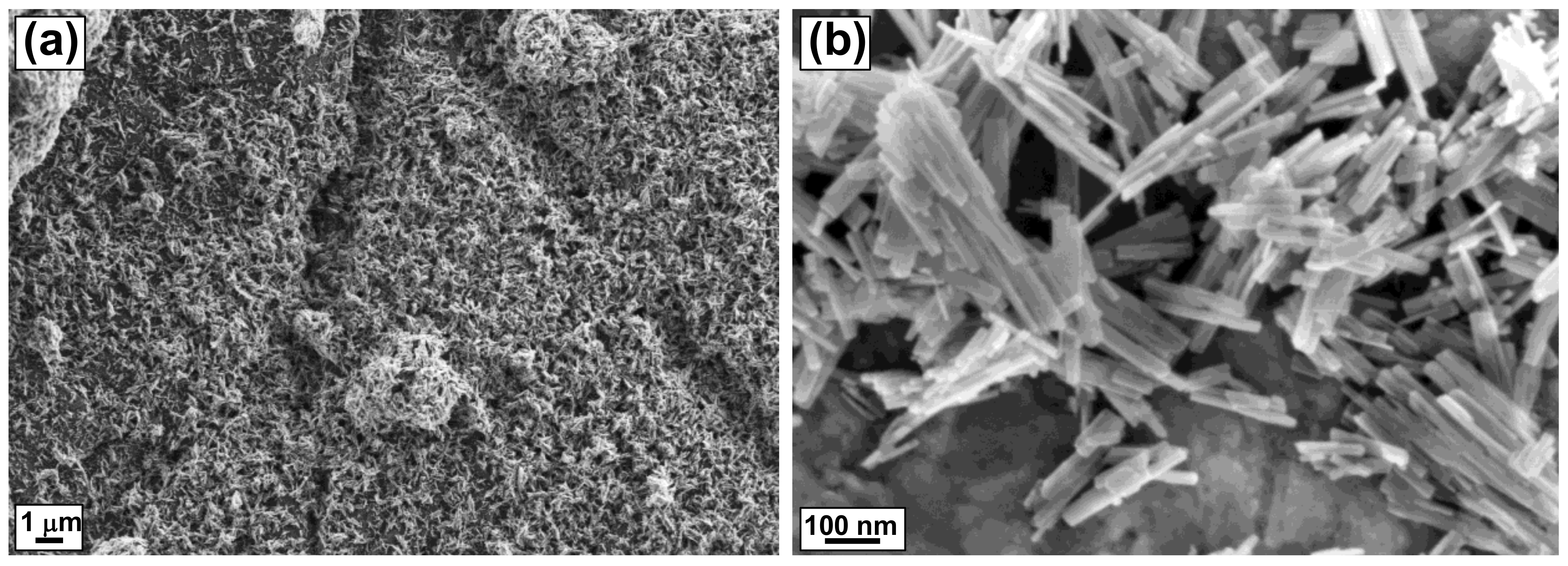Processes 09 00263 g002 Processes 09 00263 g002