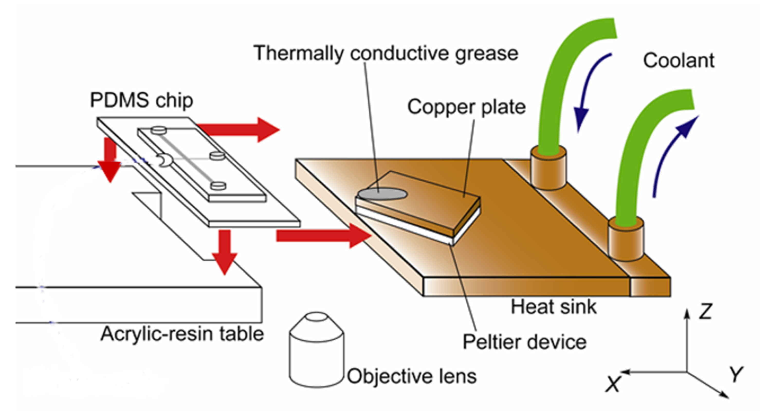 Processes 09 00306 g002