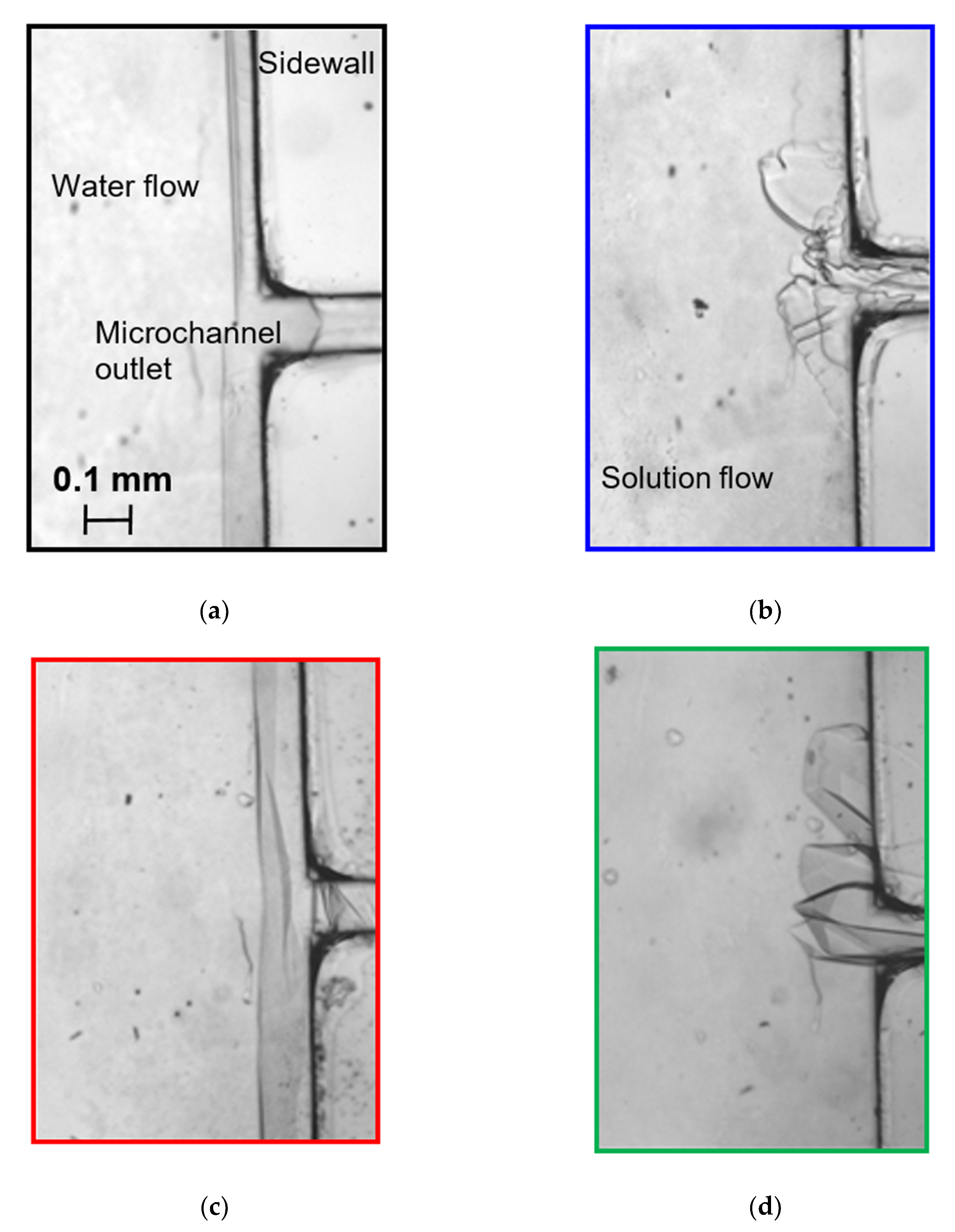 Processes 09 00306 g003