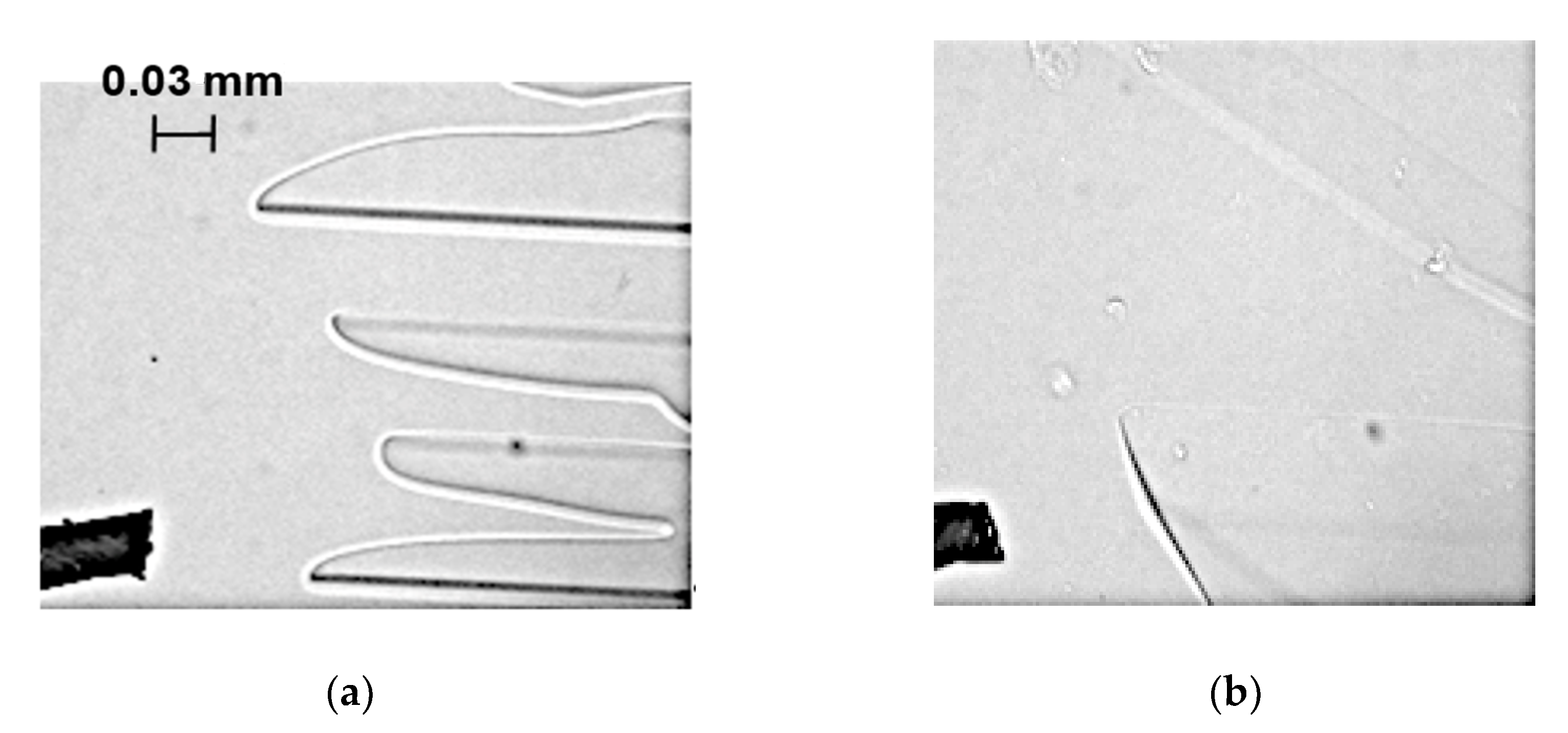 Processes 09 00306 g0a1