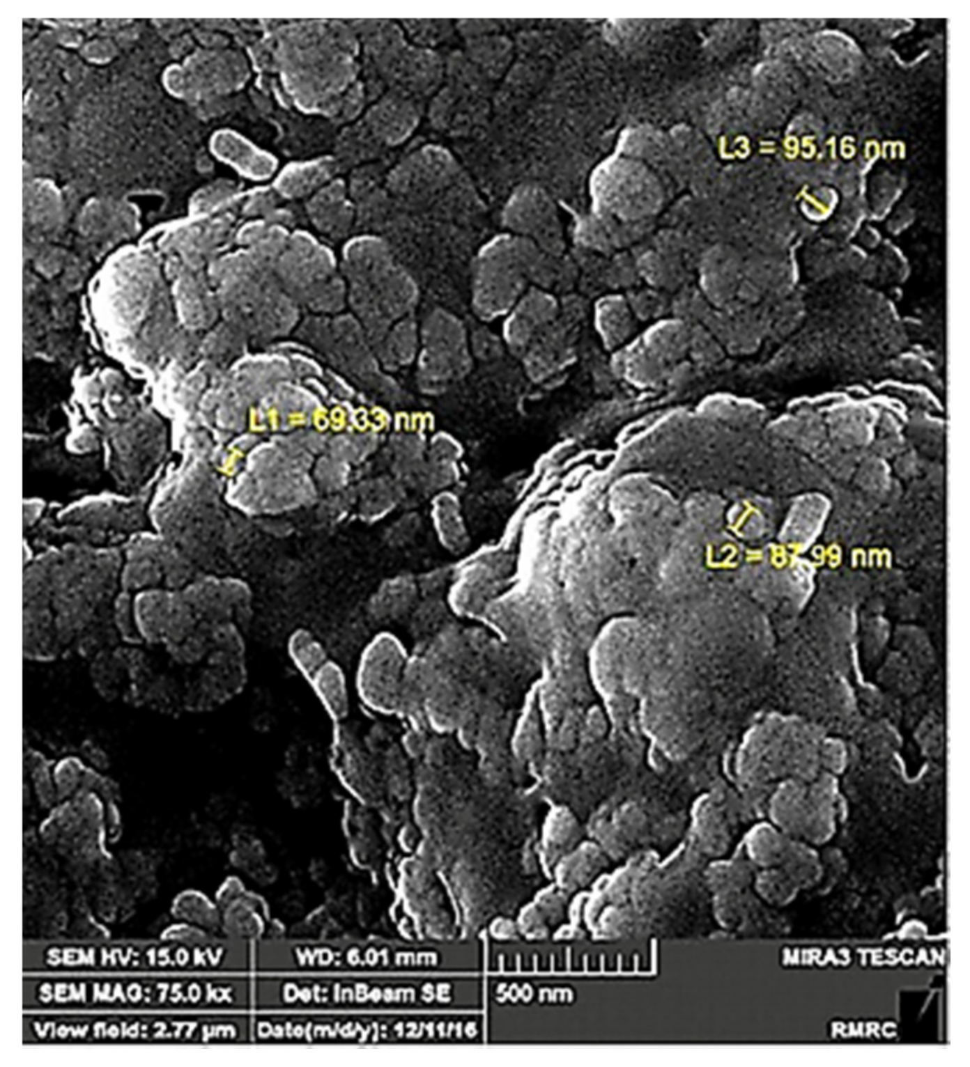 Processes 09 00334 g008 Processes 09 00334 g008