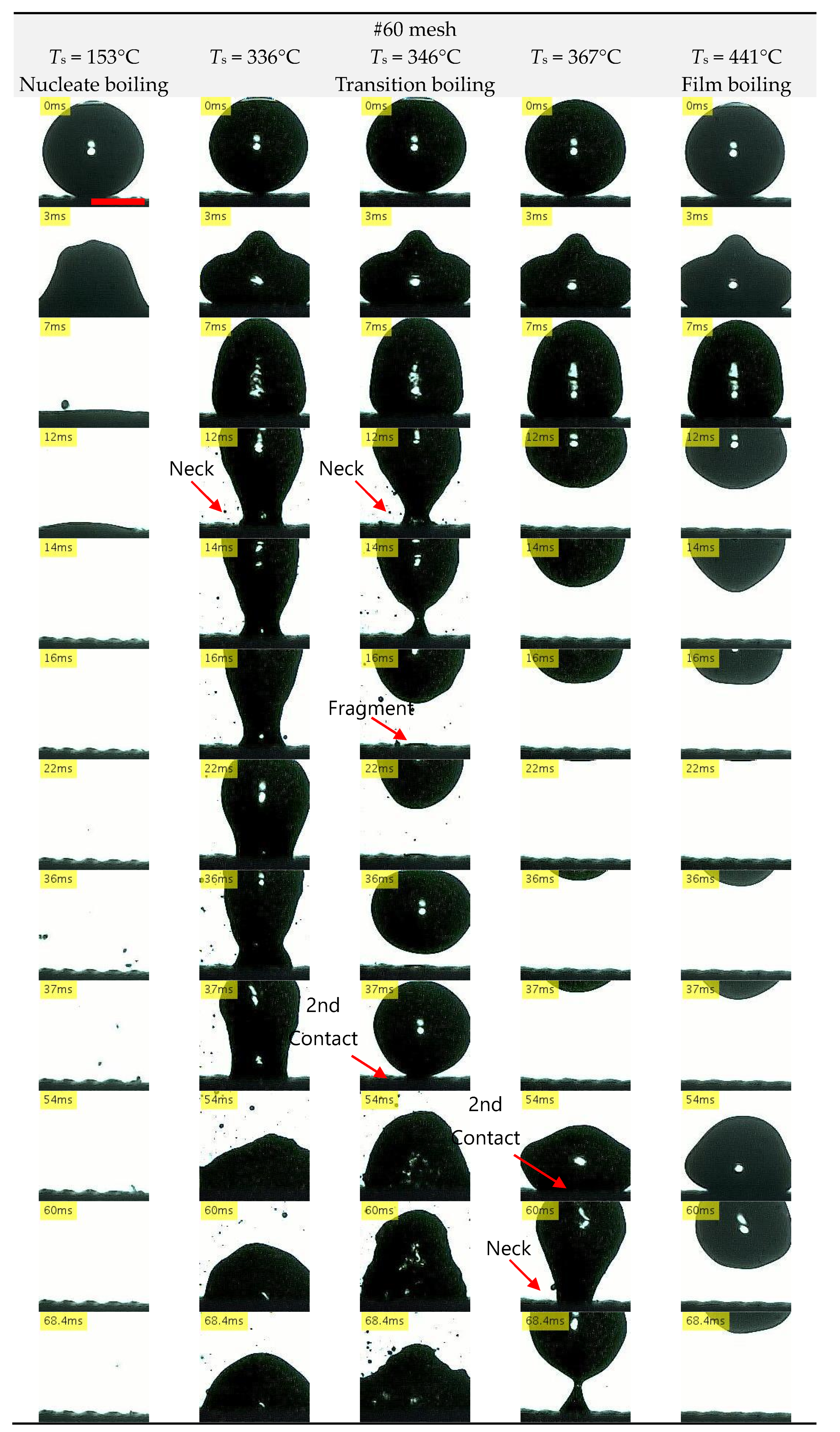 Processes 09 00350 g009a
