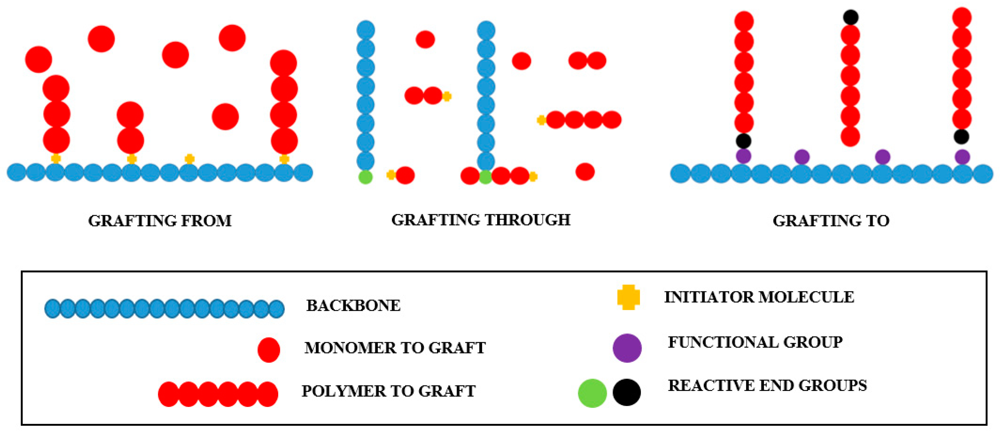 Processes 09 00375 g001