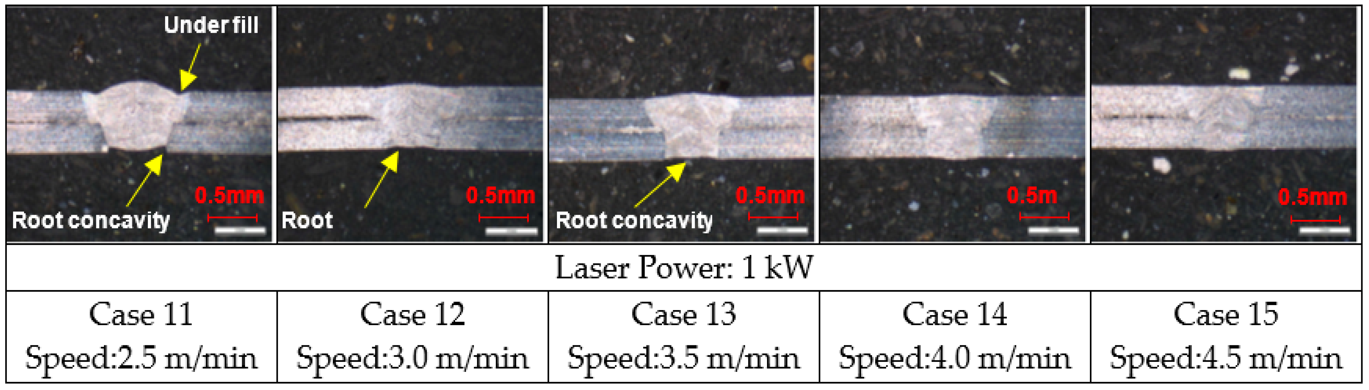 Processes 09 00428 g012