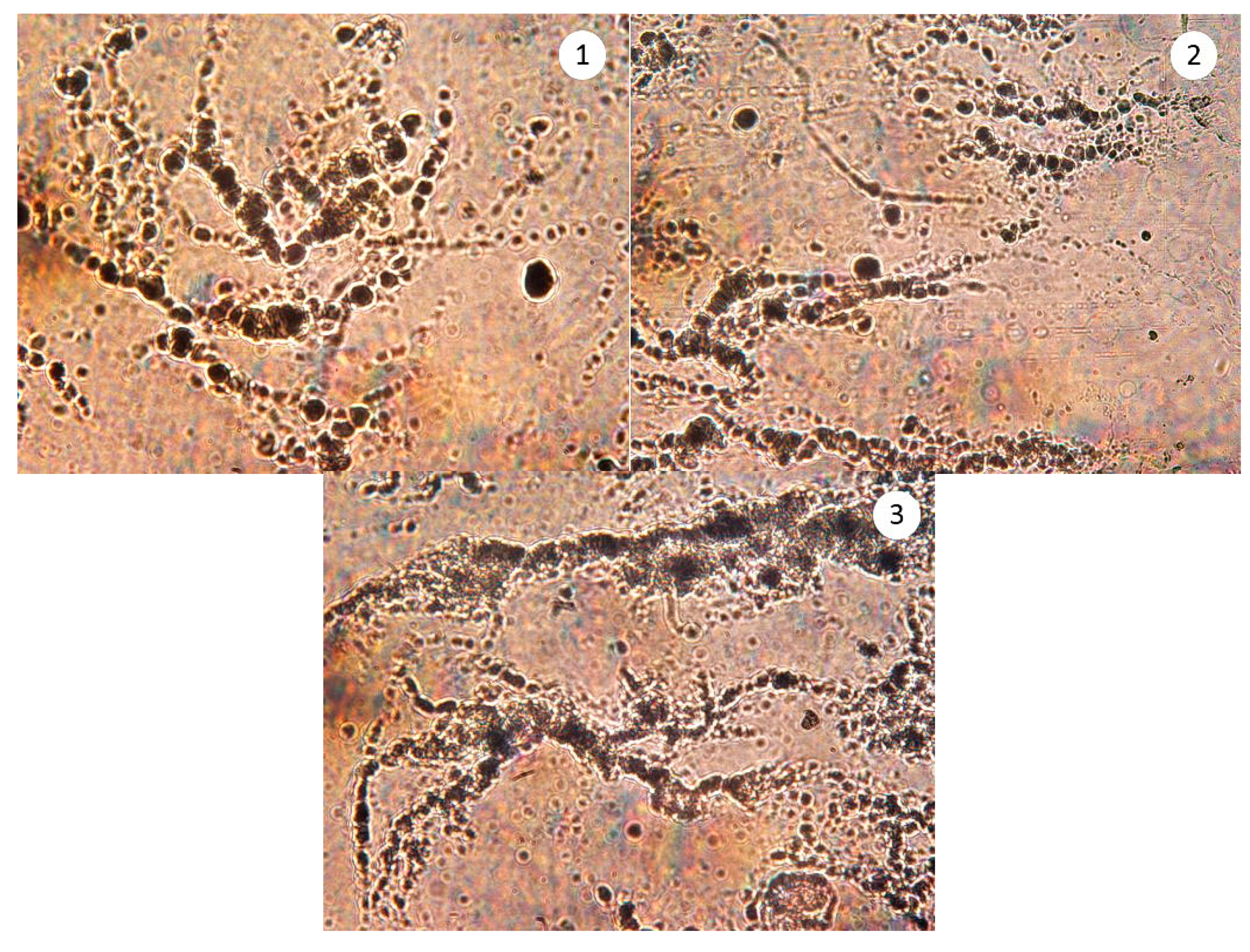 Processes 09 00437 g007 Processes 09 00437 g007