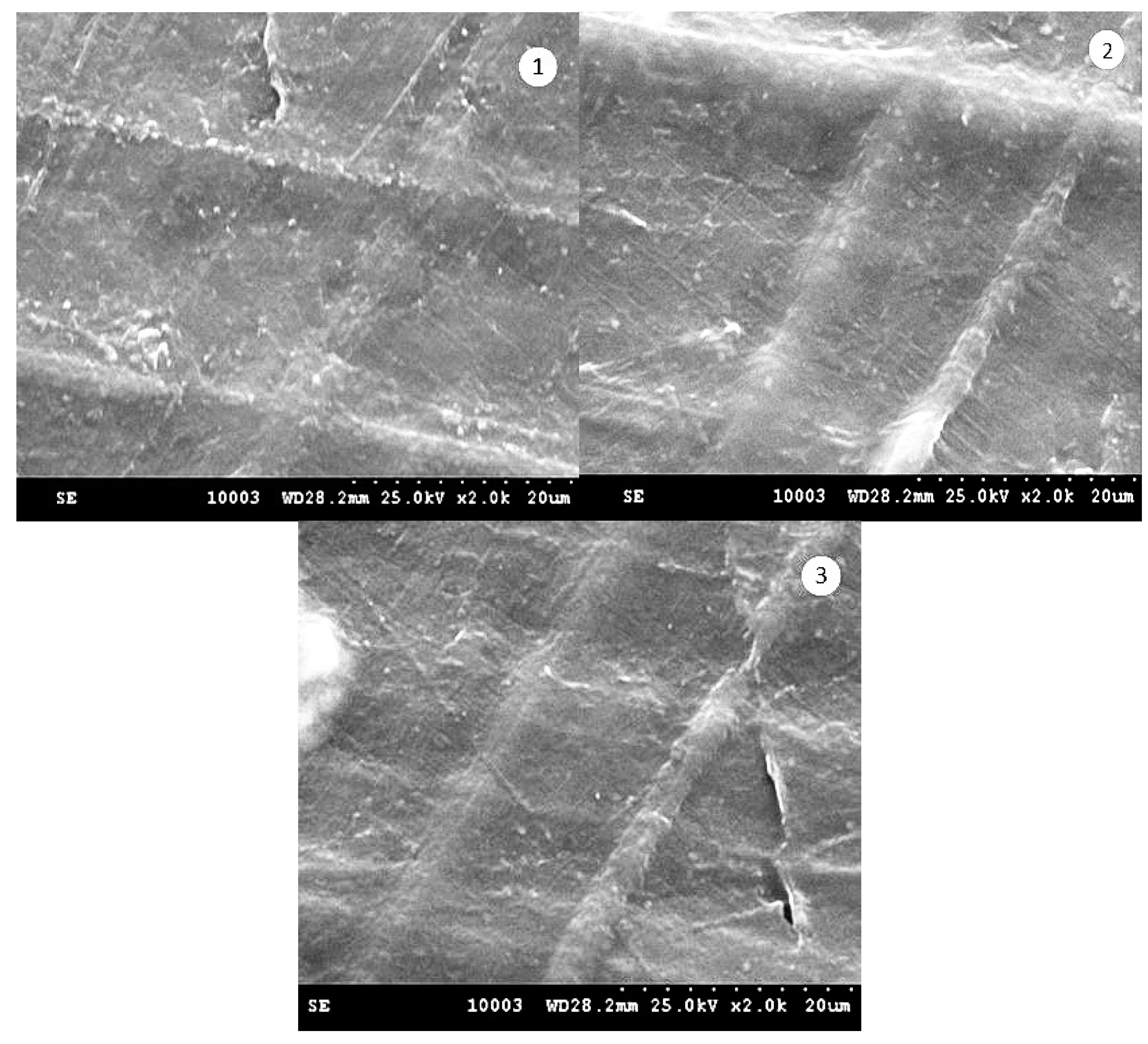 Processes 09 00437 g008 Processes 09 00437 g008