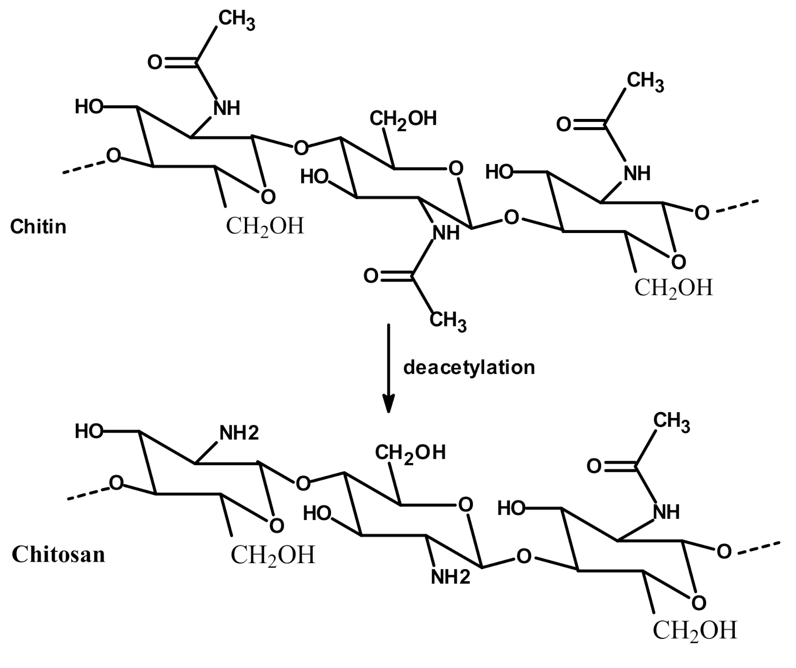 Processes 09 00445 g001