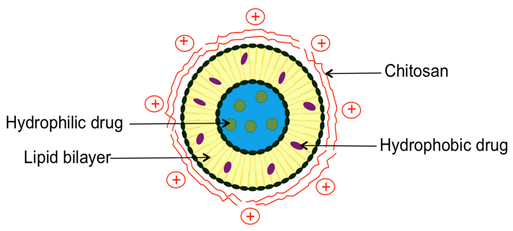 Processes 09 00445 g002