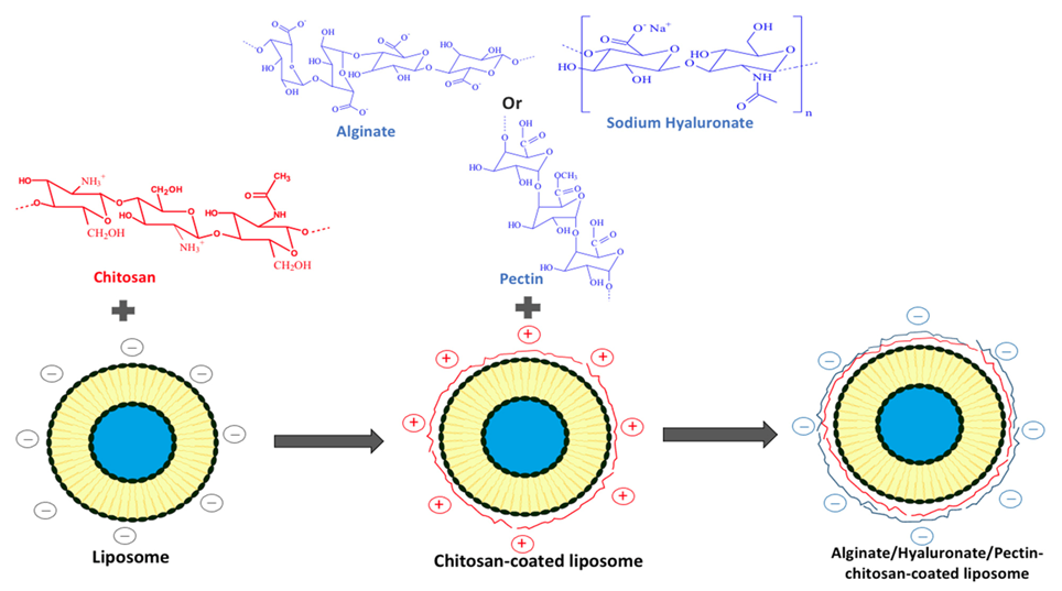 Processes 09 00445 g005