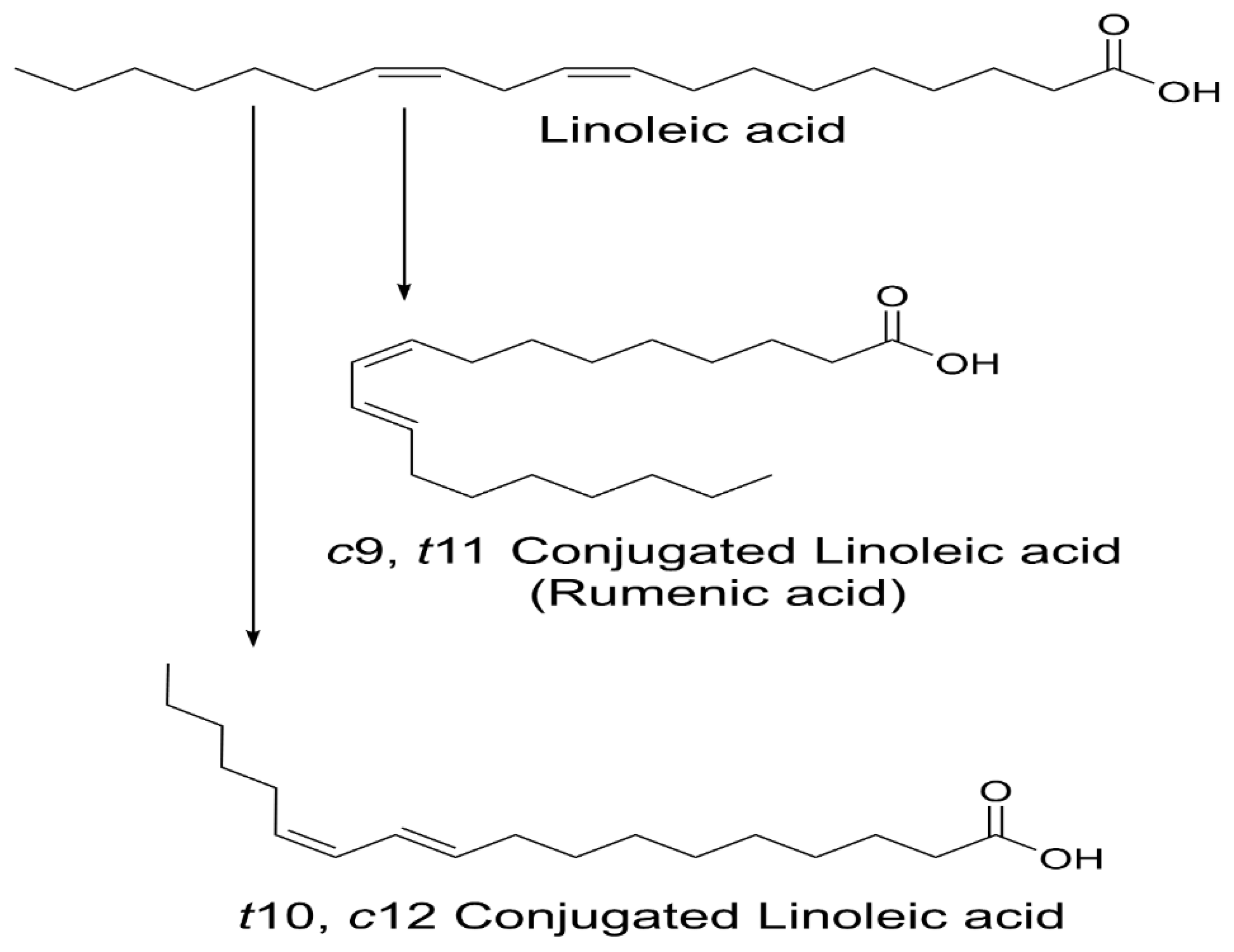 Processes | Free Full-Text | The Effects of Conjugated Linoleic Acids on  Cancer