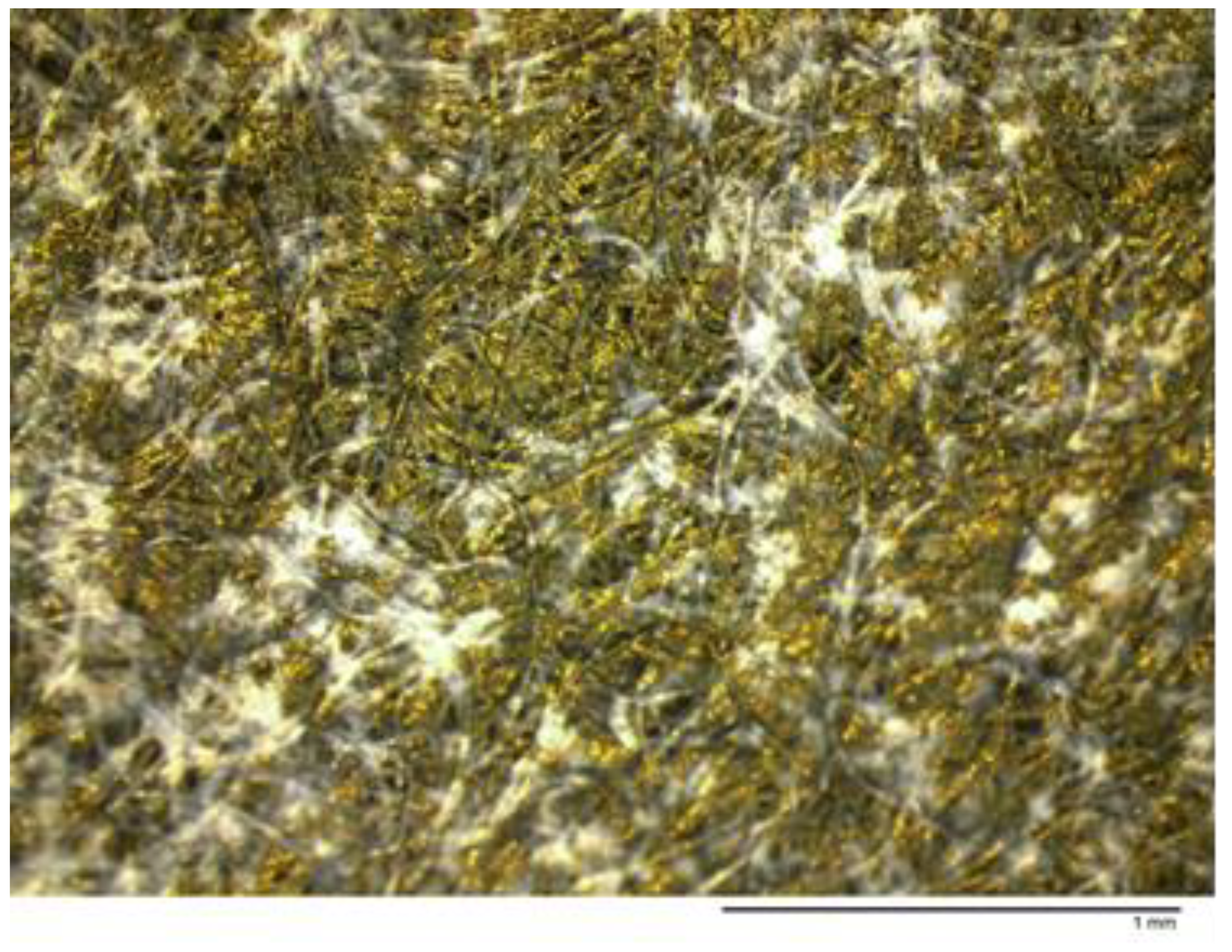 Processes 09 00608 g004 Processes 09 00608 g004