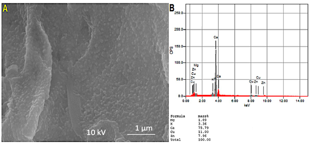 Processes 09 00624 g003