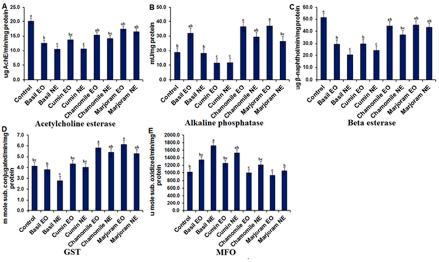 Processes 09 00624 g005