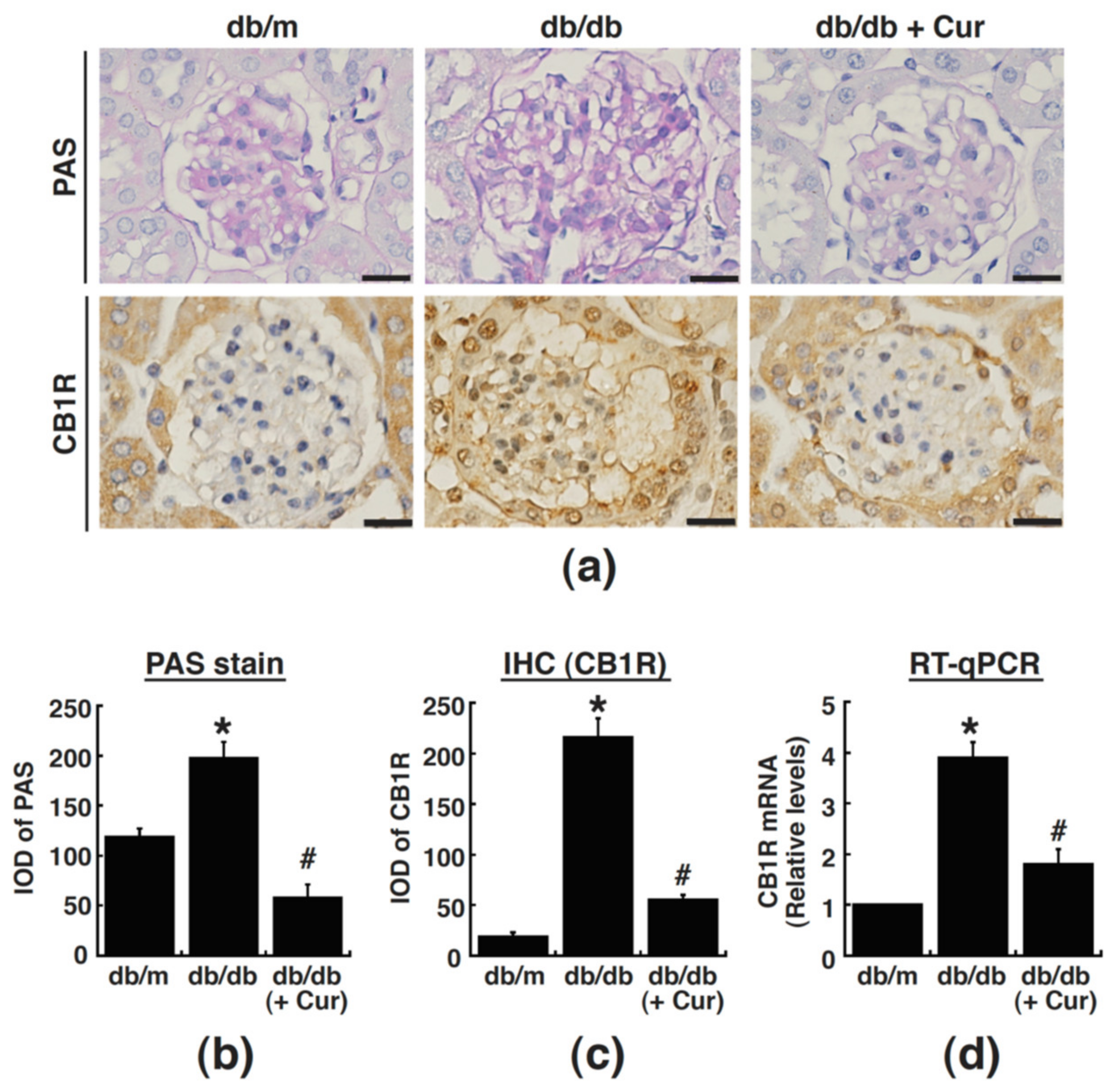 Processes 09 00694 g004 Processes 09 00694 g004