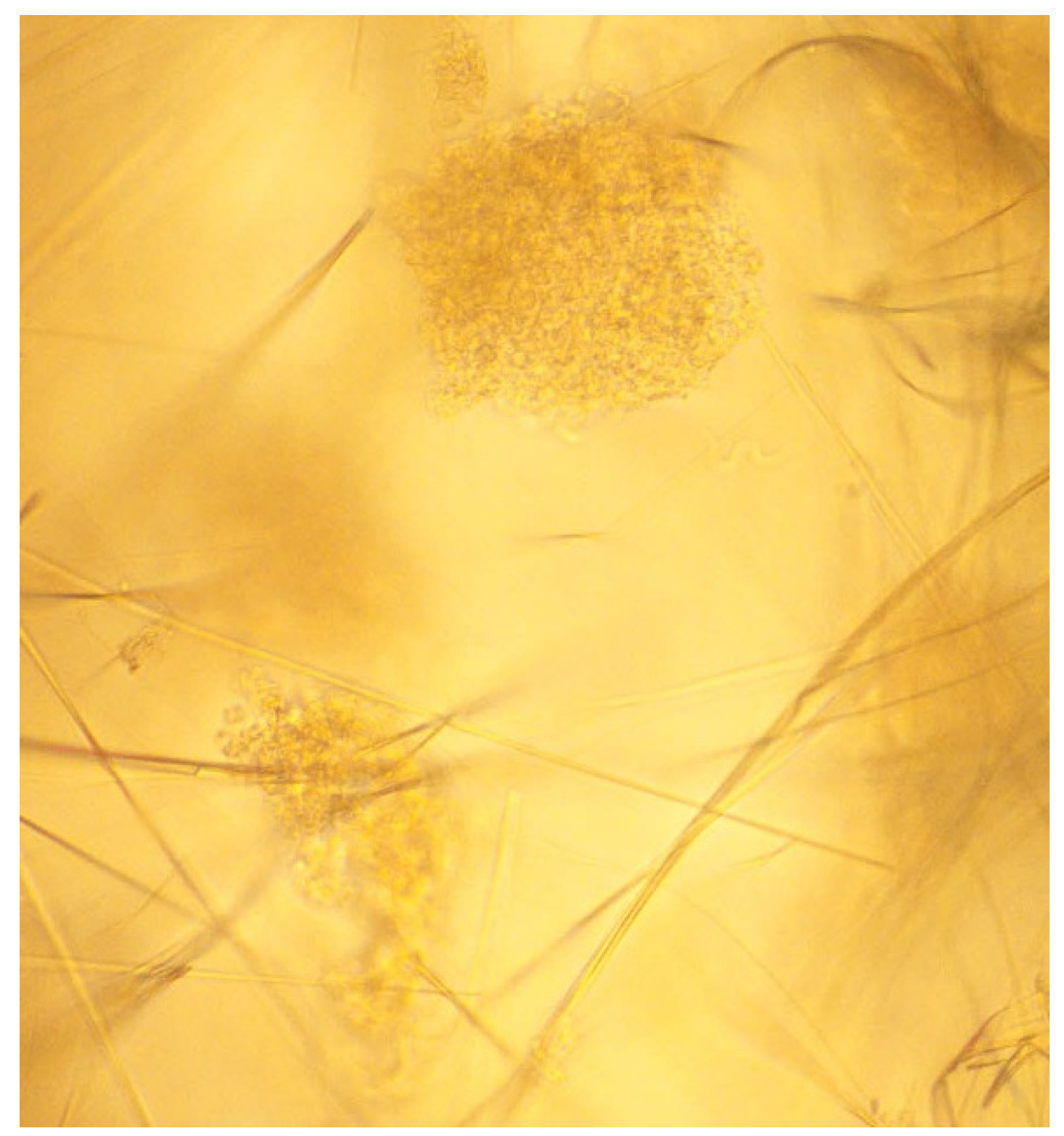 Processes 09 00716 g004