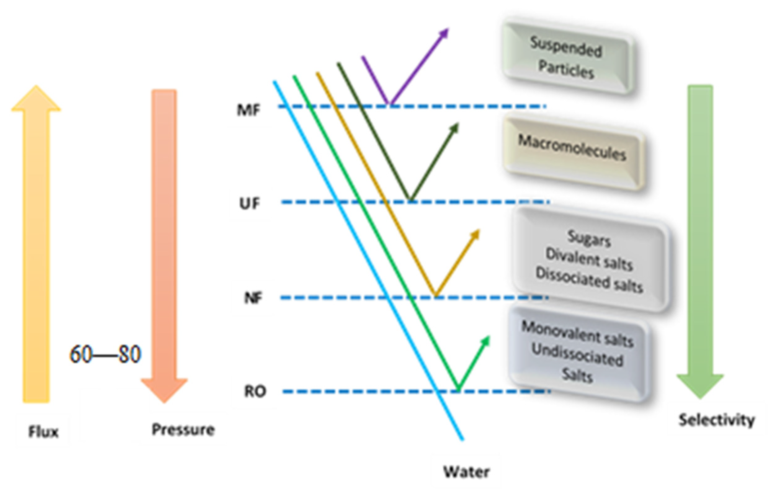 Processes 09 00752 g001
