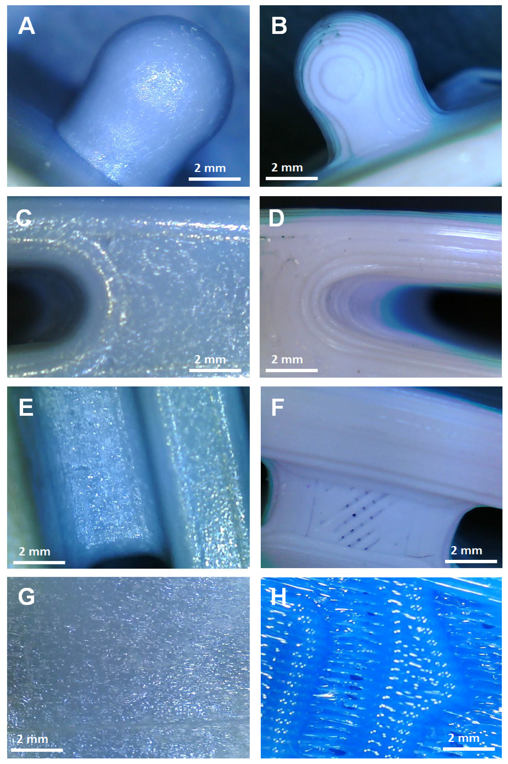 Processes 09 00791 g005