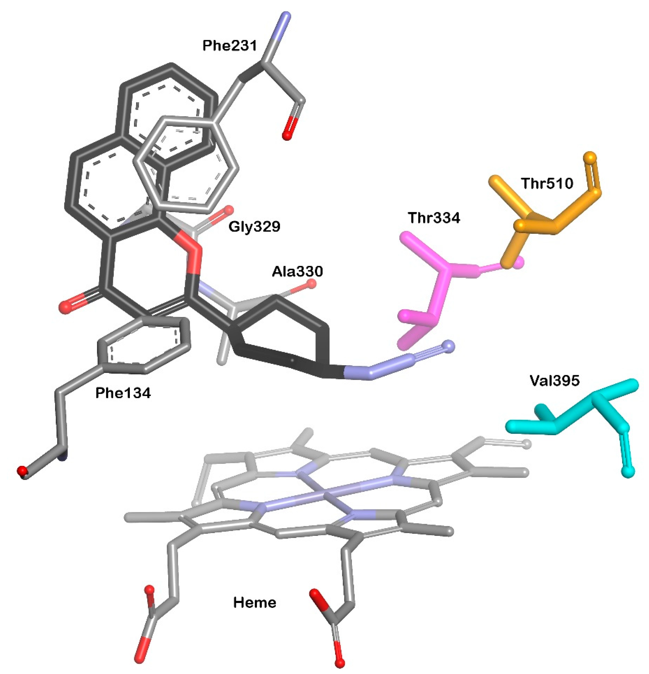 Processes | Free Full-Text | New Perspectives Of CYP1B1 Inhibitors In ...