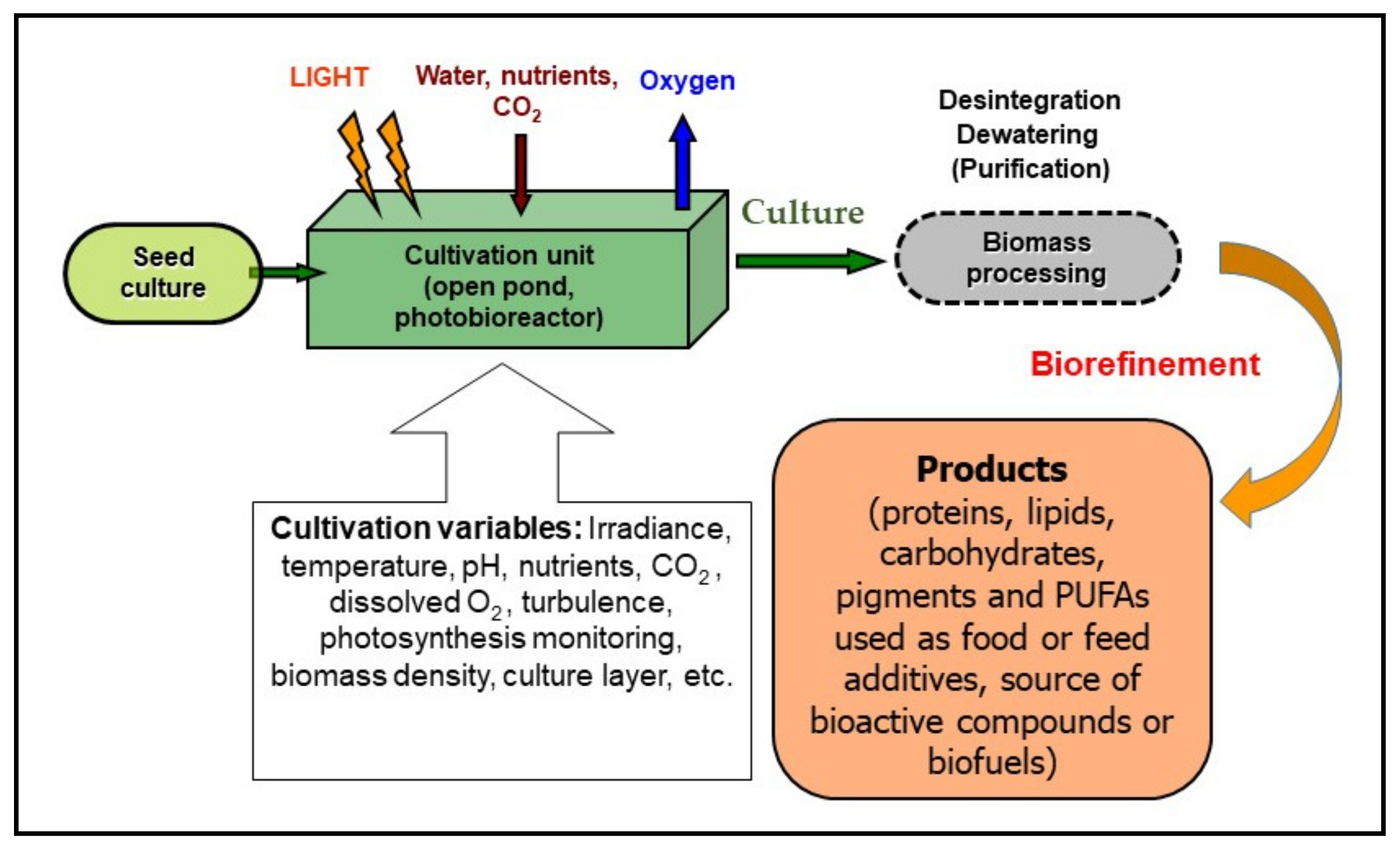 Text variables. What the benefit of Photosynthesis. Industrial Production of microalgae. Microalgae inclined Ponds right Panel cultivation. Mixed two-Stage cultivation Systems of microalgae.